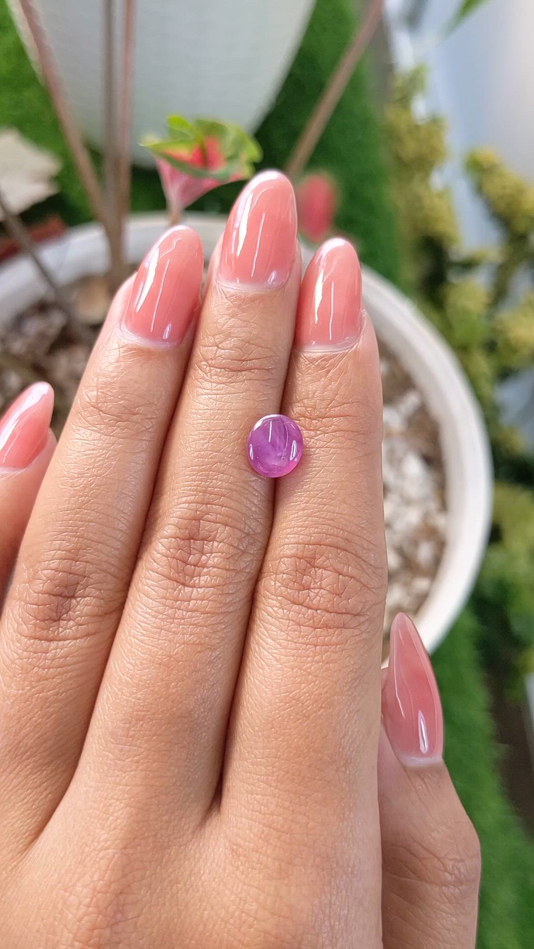 2.23 Ct. Purplish Pink Star Sapphire from Ceylon (Sri Lanka) Size Video