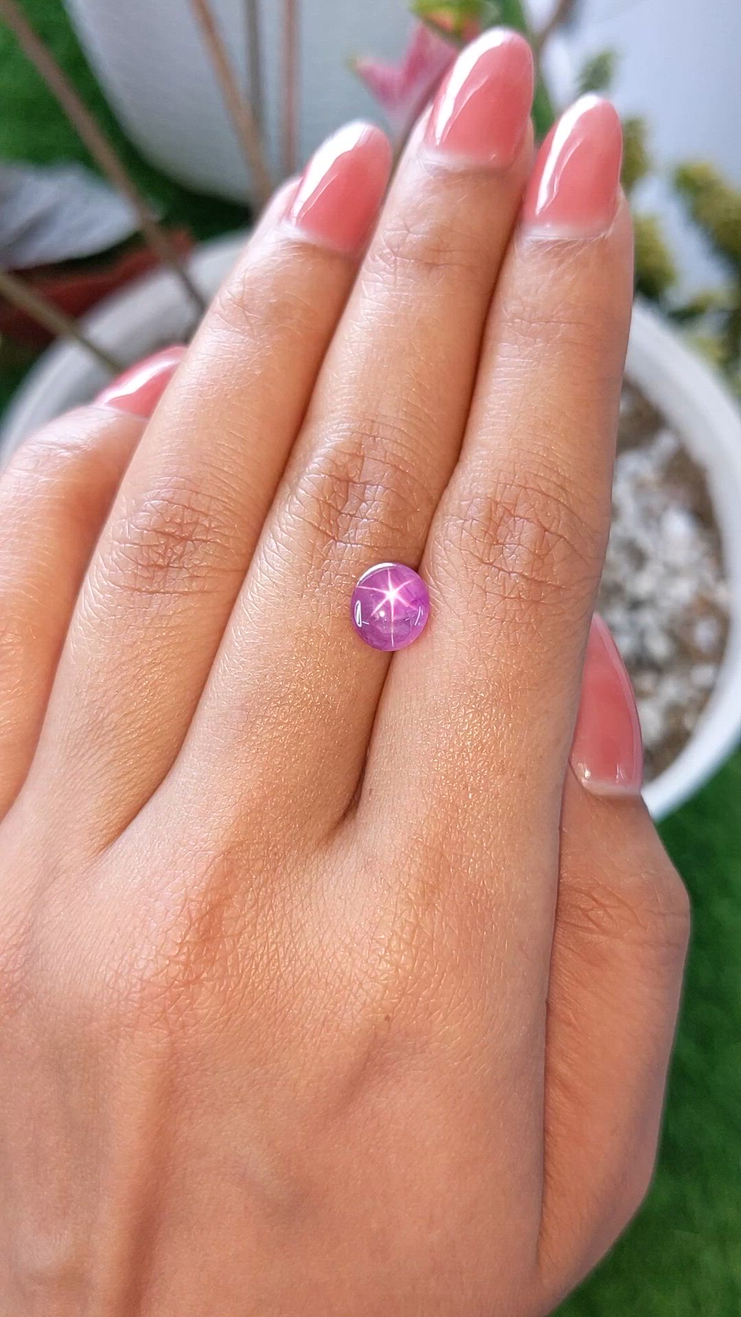 2.23 Ct. Purplish Pink Star Sapphire from Ceylon (Sri Lanka) Size Video