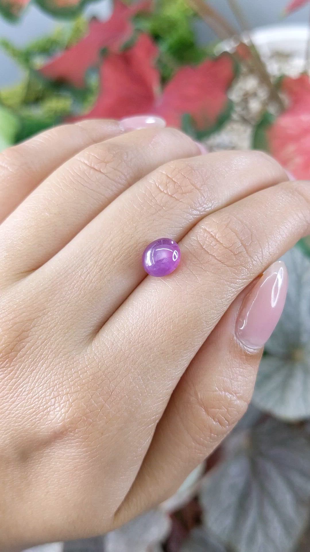 3.02 Ct. Pinkish Purple Star Sapphire from Ceylon (Sri Lanka) Size Video