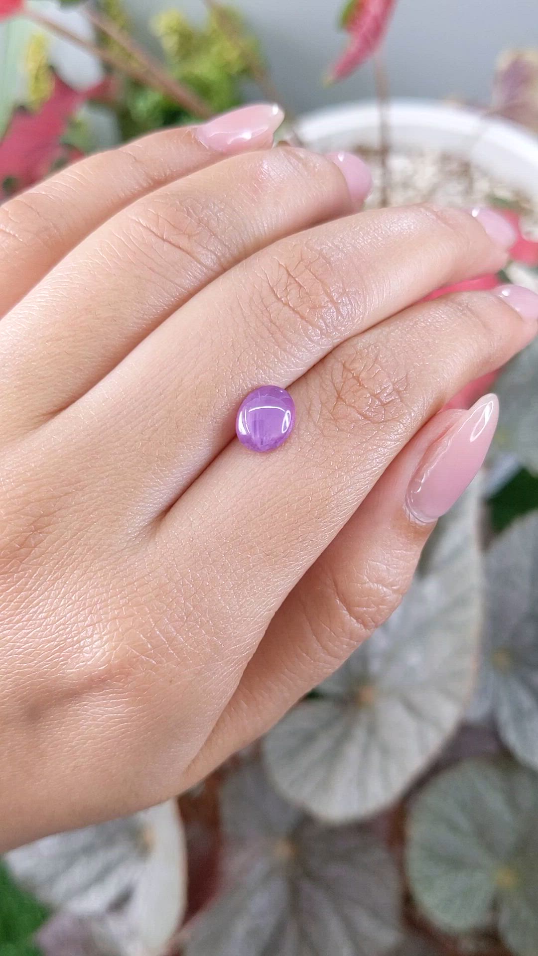 2.33 Ct. Pinkish Purple Star Sapphire from Ceylon (Sri Lanka) Size Video