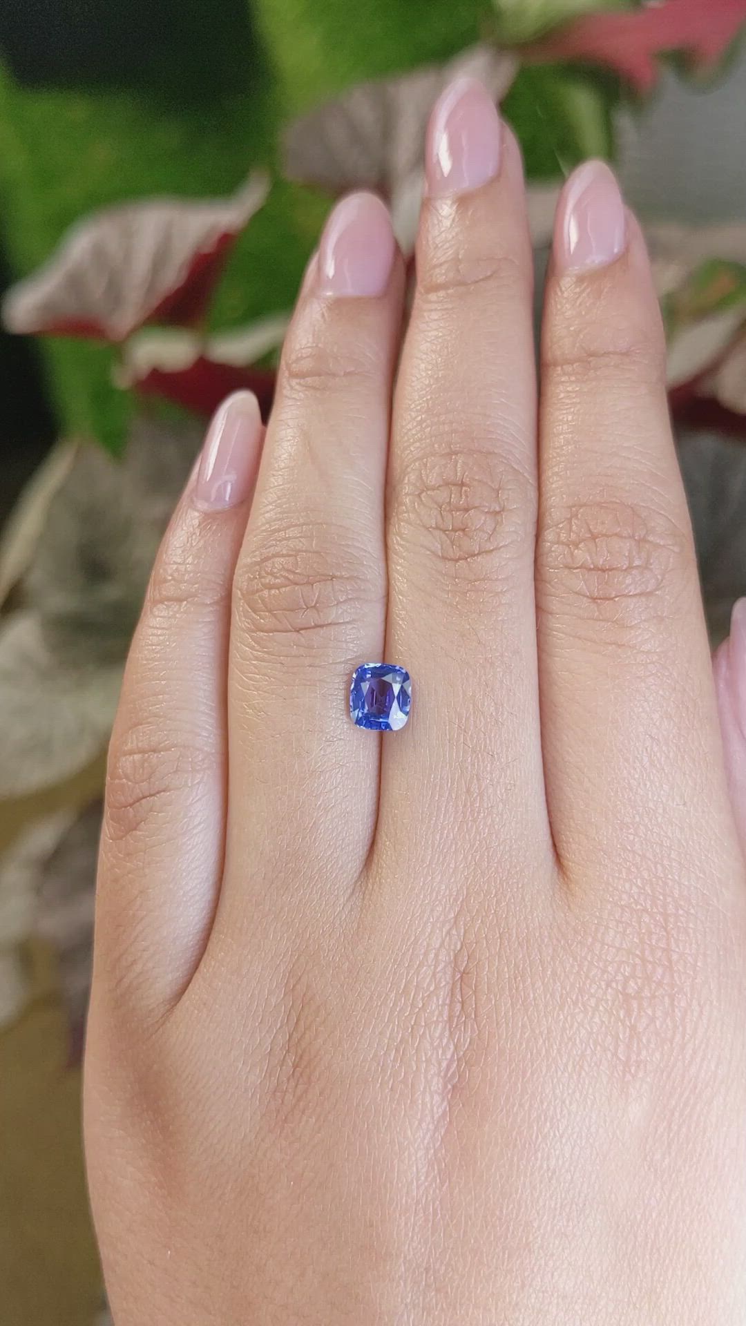 1.24 Ct. Blue Sapphire from Ceylon (Sri Lanka) Size Video