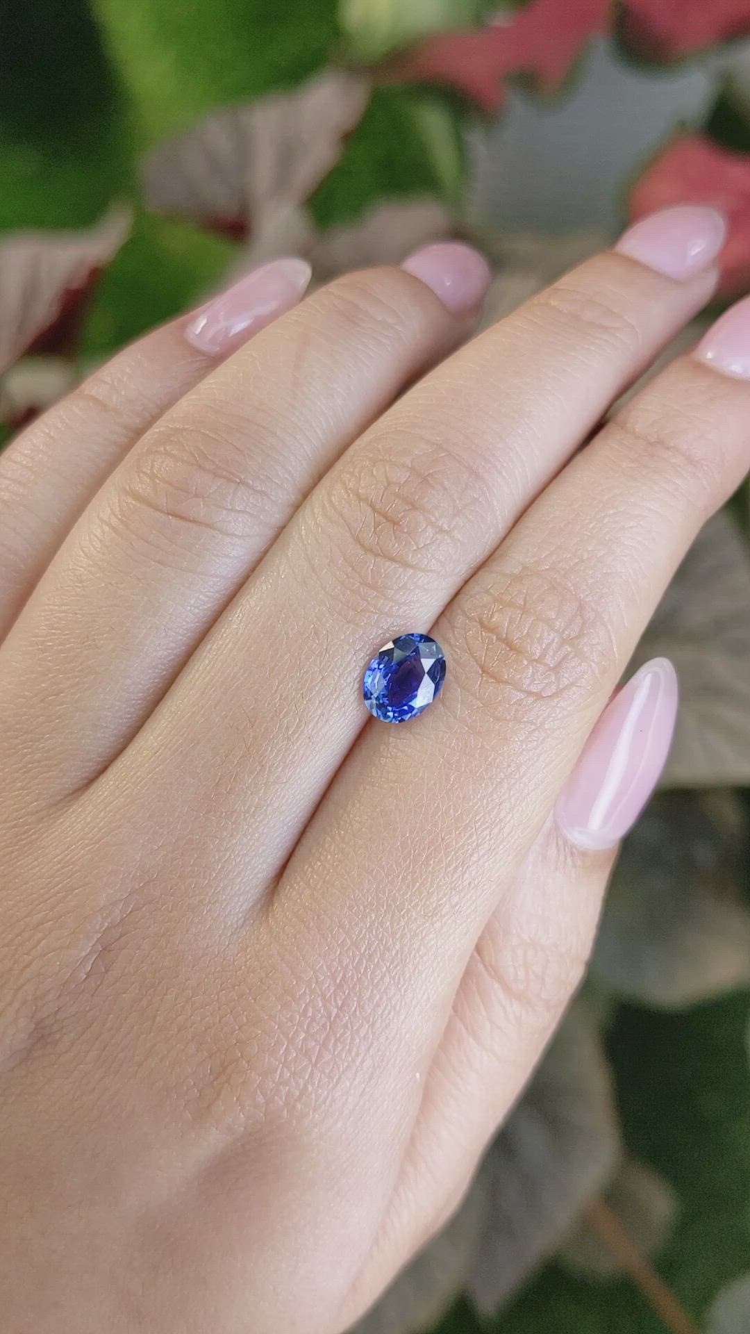 1.64 Ct. Blue Sapphire from Ceylon (Sri Lanka) Size Video