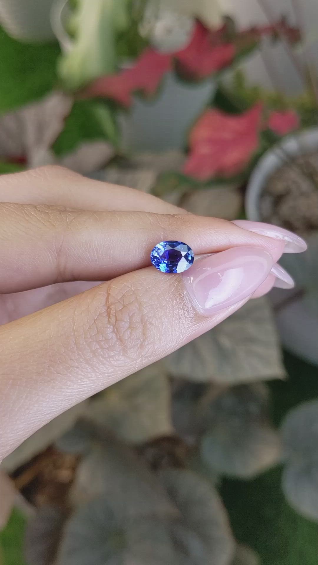 1.64 Ct. Blue Sapphire from Ceylon (Sri Lanka) Size Video