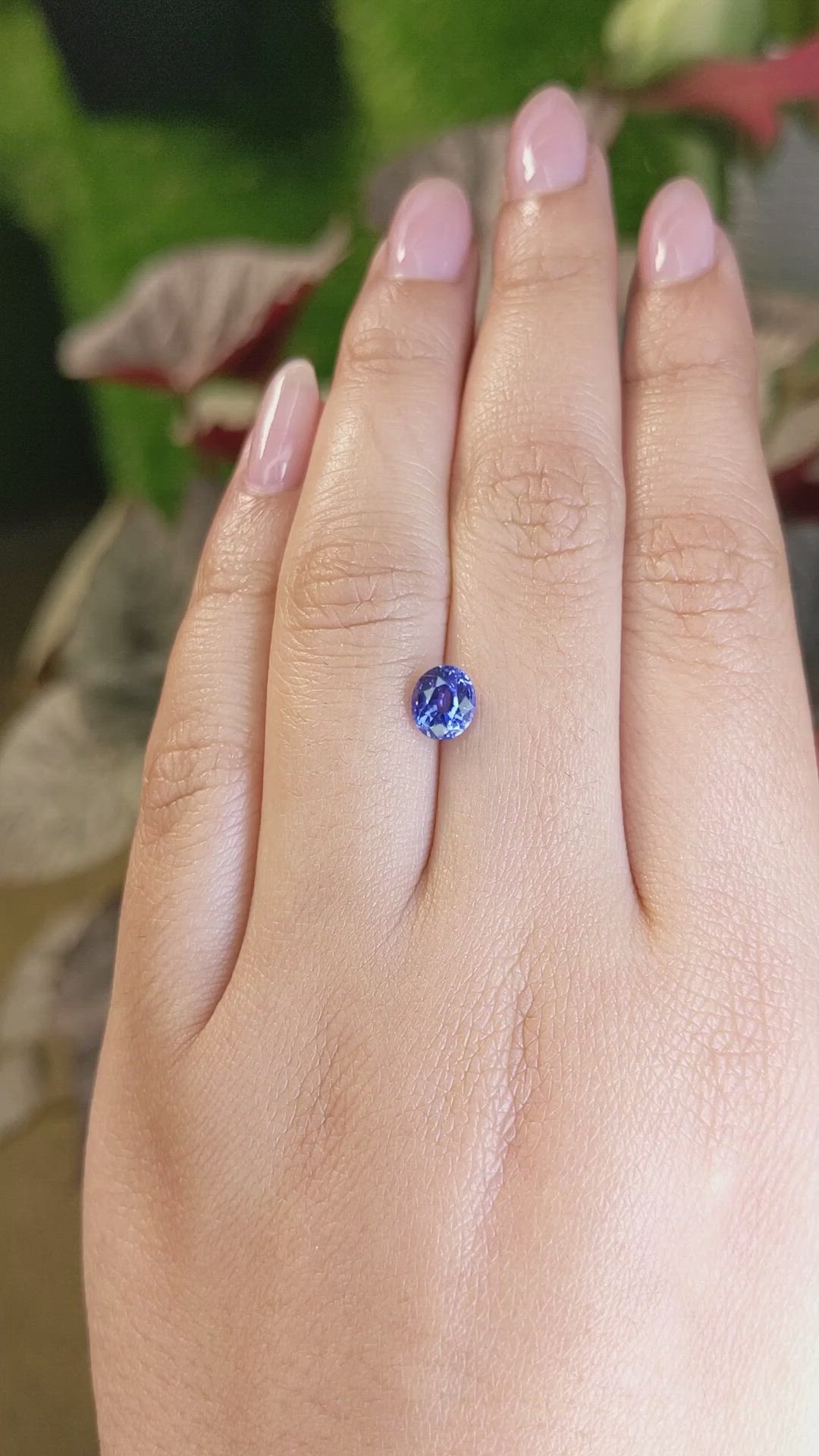 1.24 Ct. Blue Sapphire from Ceylon (Sri Lanka) Size Video