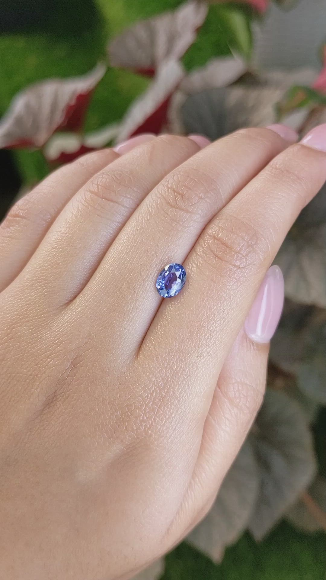 1.44 Ct. Blue Sapphire from Ceylon (Sri Lanka) Size Video
