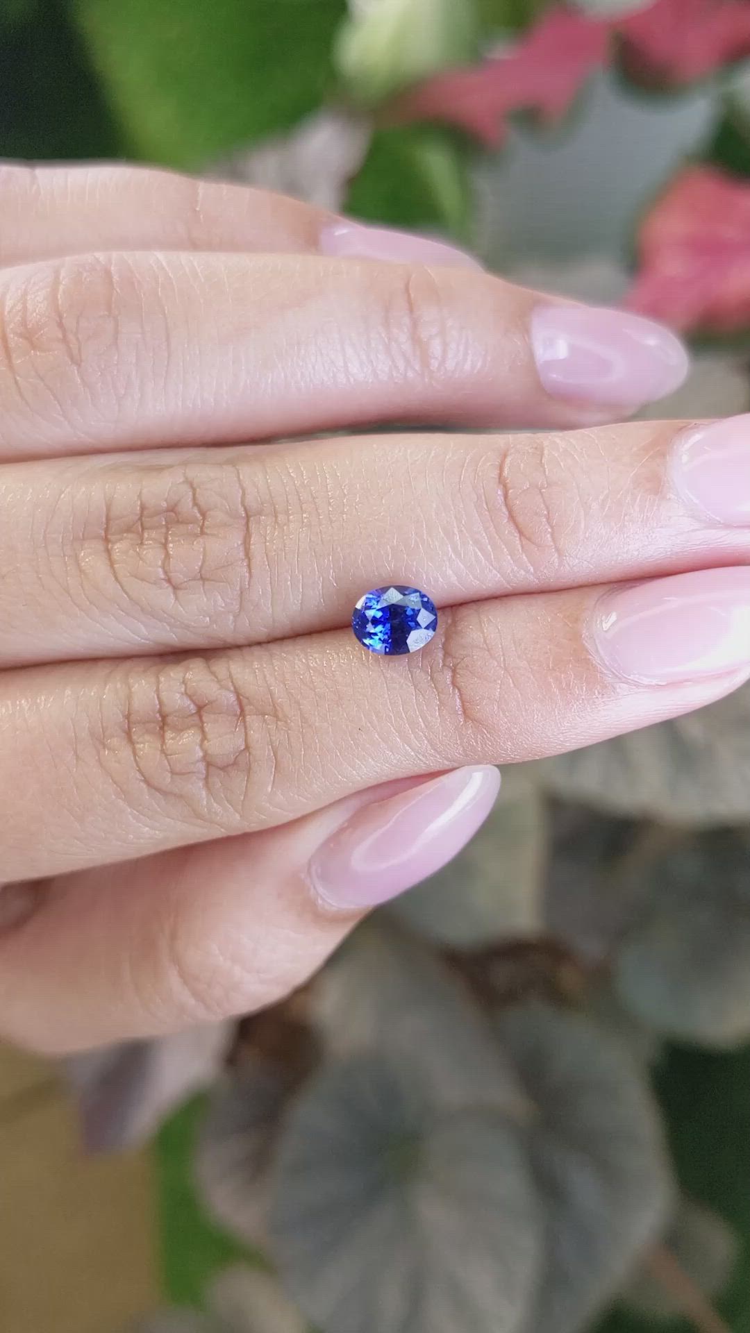 1.37 Ct. Blue Sapphire from Ceylon (Sri Lanka) Size Video