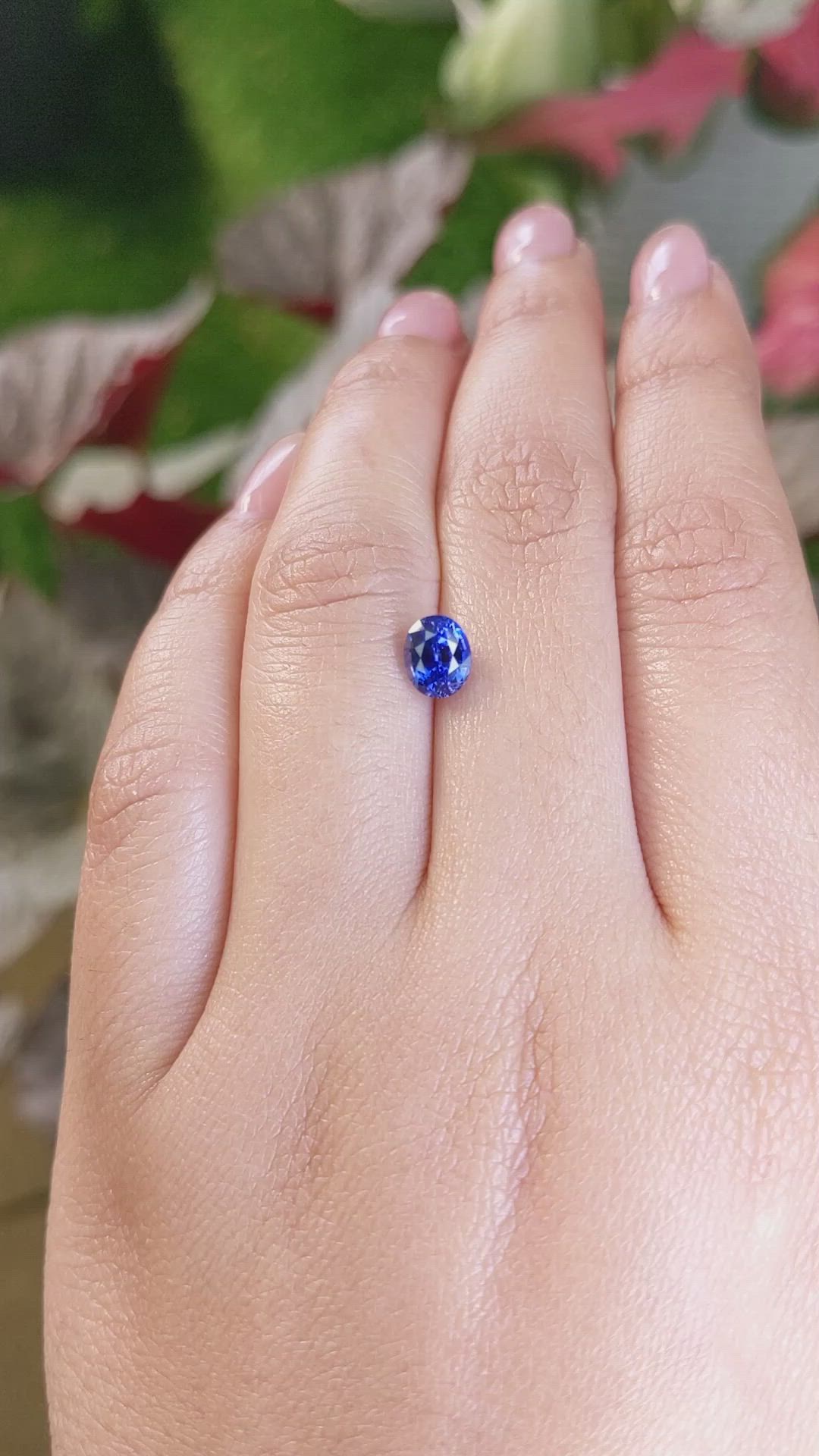 1.37 Ct. Blue Sapphire from Ceylon (Sri Lanka) Size Video