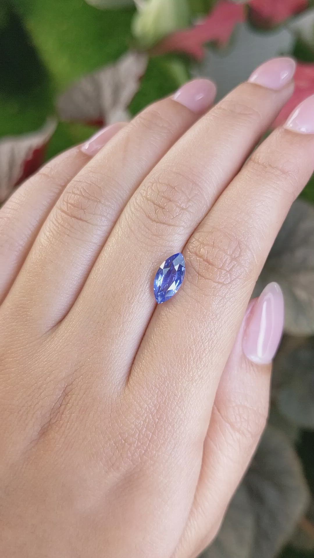 2.28 Ct. Blue Sapphire from Ceylon (Sri Lanka) Size Video