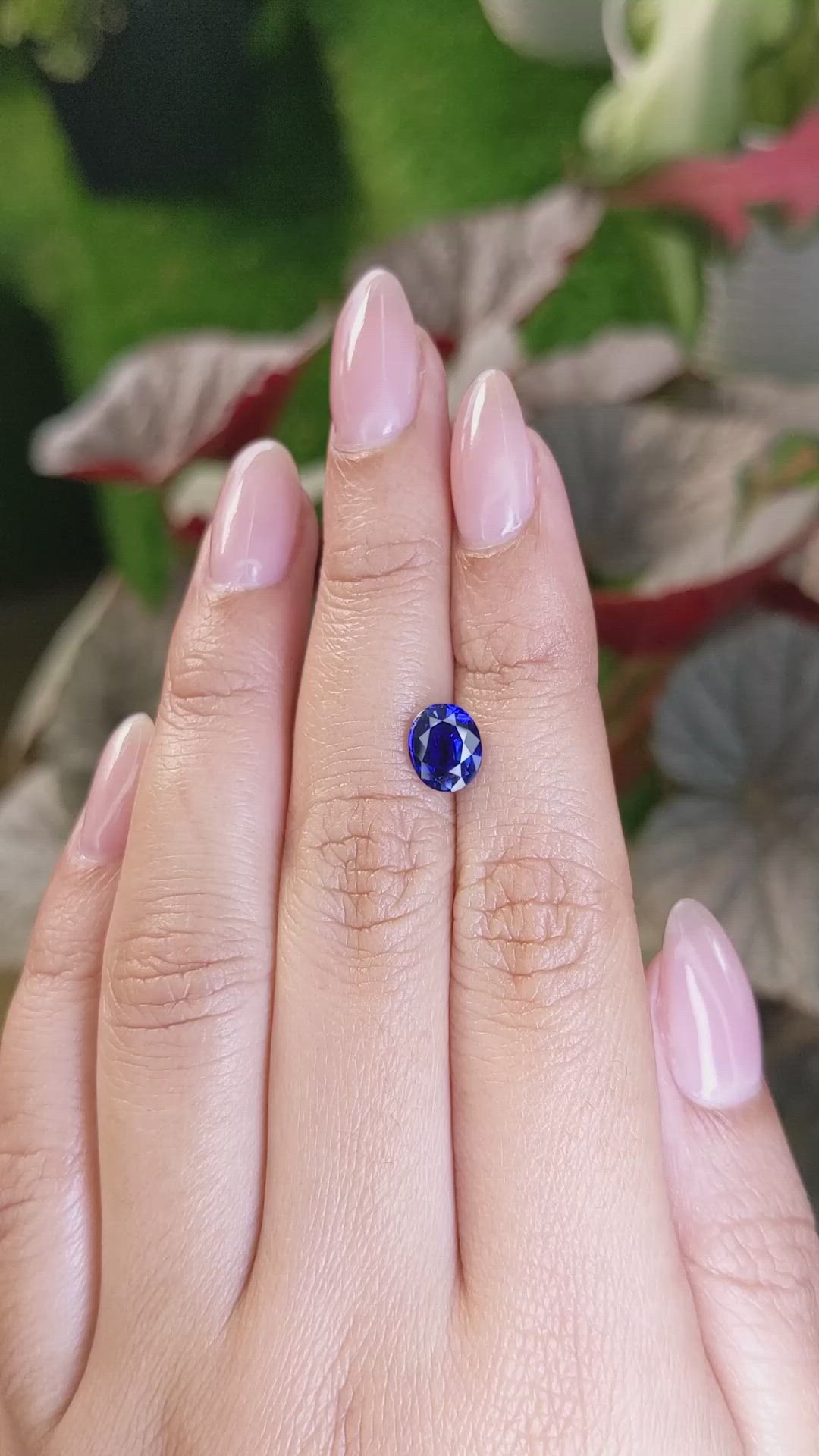 1.66 Ct. Blue Sapphire from Ceylon (Sri Lanka) Size Video