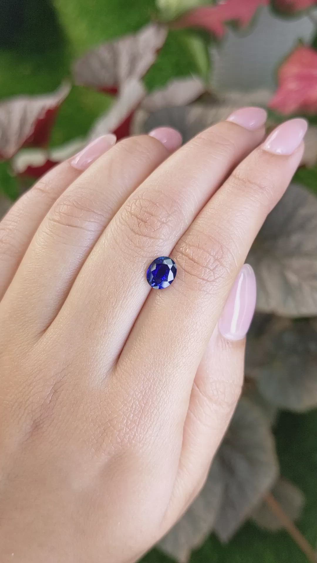 1.66 Ct. Blue Sapphire from Ceylon (Sri Lanka) Size Video