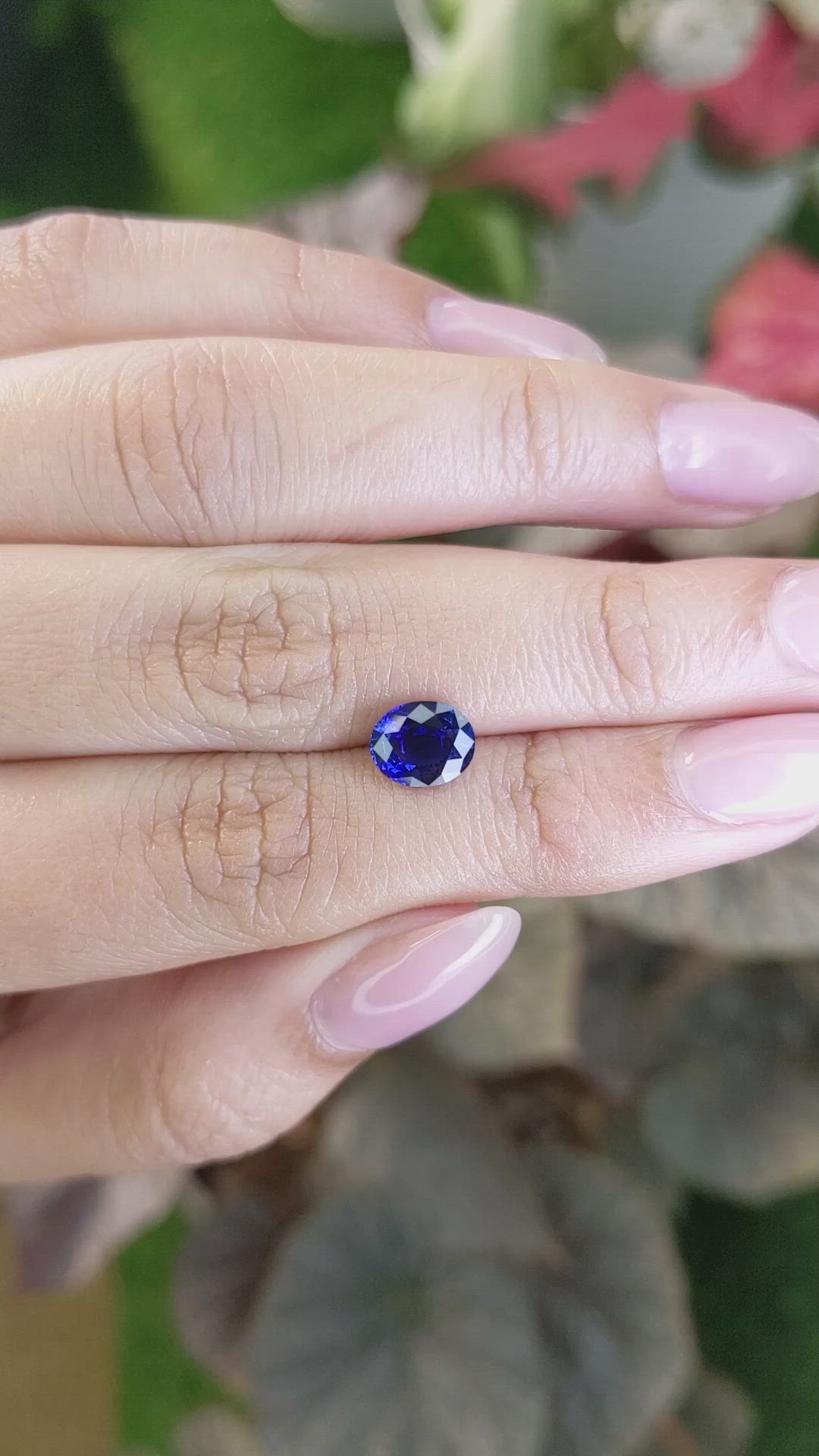 1.66 Ct. Blue Sapphire from Ceylon (Sri Lanka) Size Video