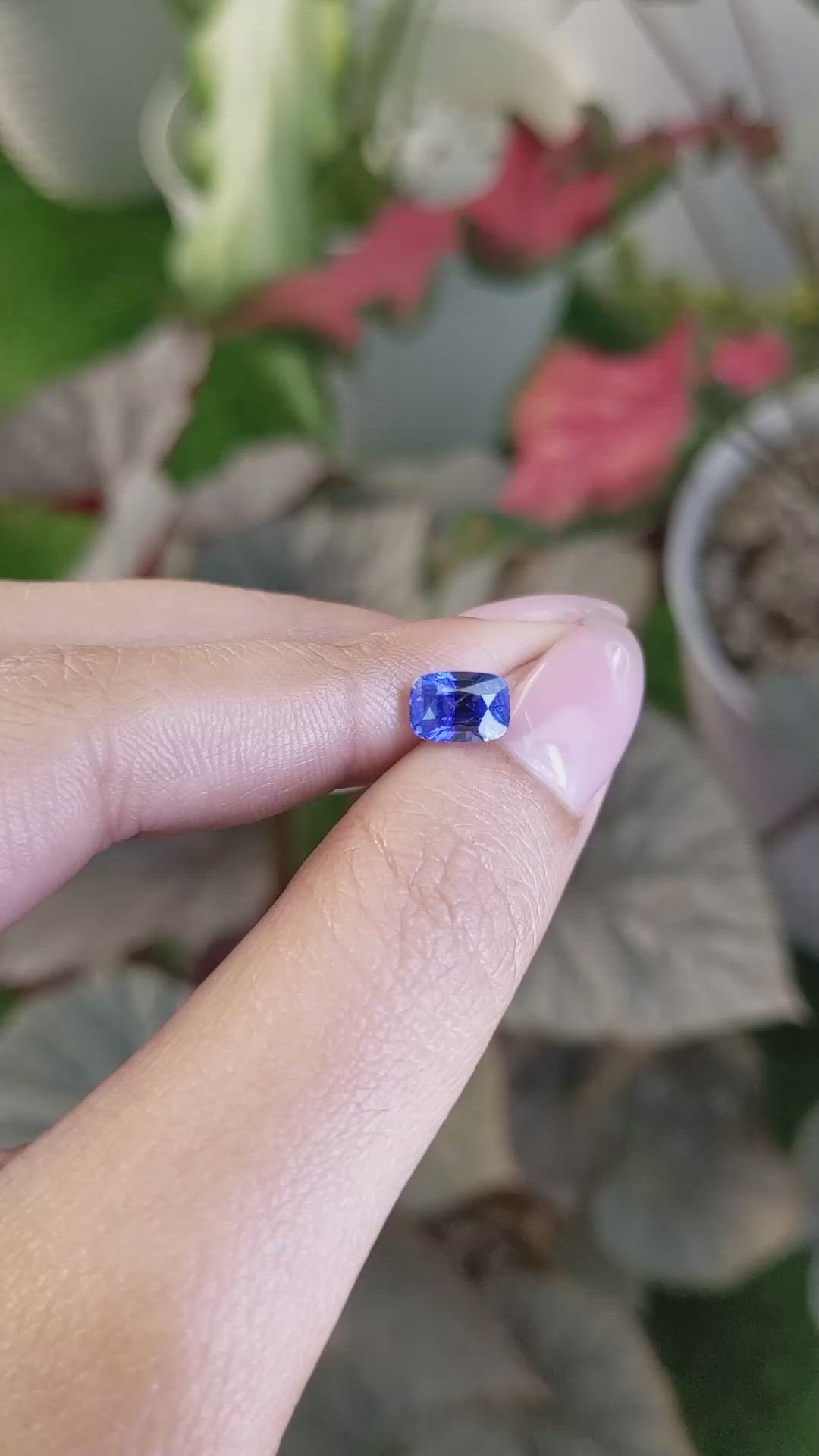 1.87 Ct. Blue Sapphire from Ceylon (Sri Lanka) Size Video