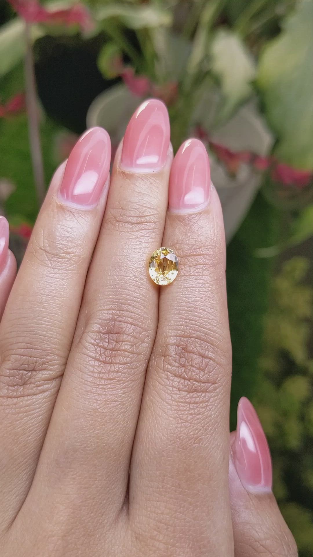 1.88 Ct. Yellow Sapphire from Ceylon (Sri Lanka) Size Video
