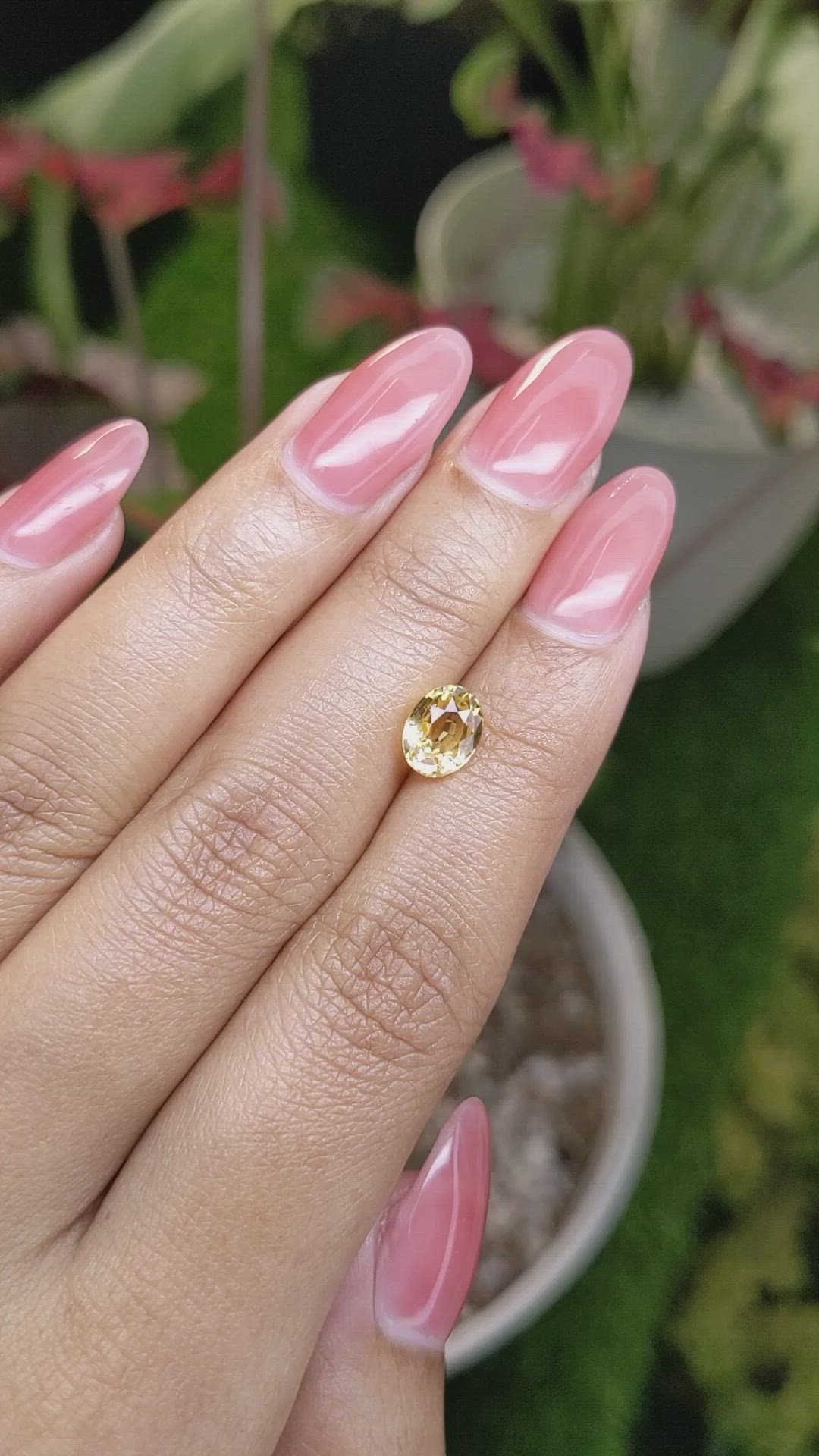 1.88 Ct. Yellow Sapphire from Ceylon (Sri Lanka) Size Video