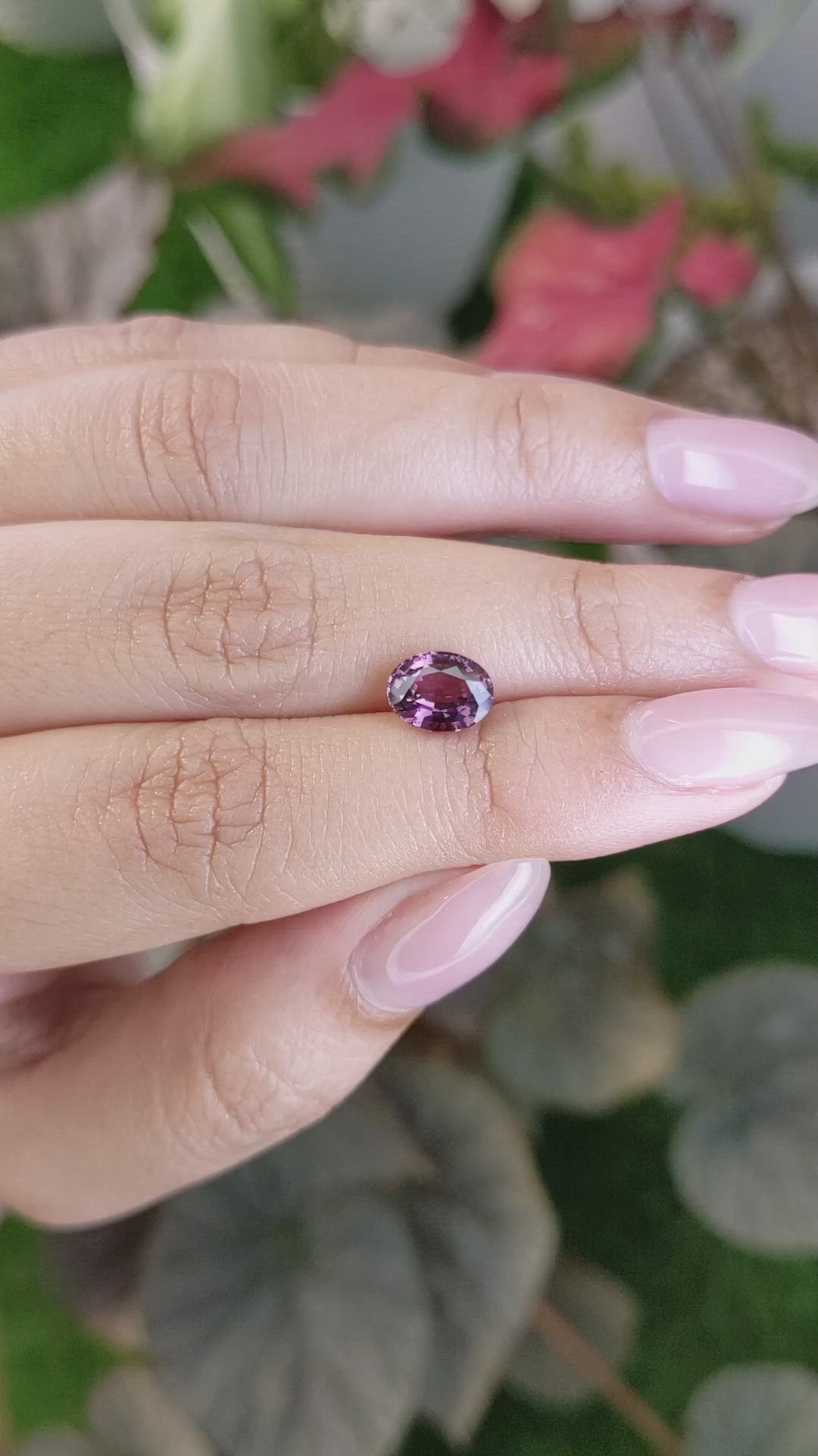 1.75 Ct. Pink Sapphire from Ceylon (Sri Lanka) Size Video