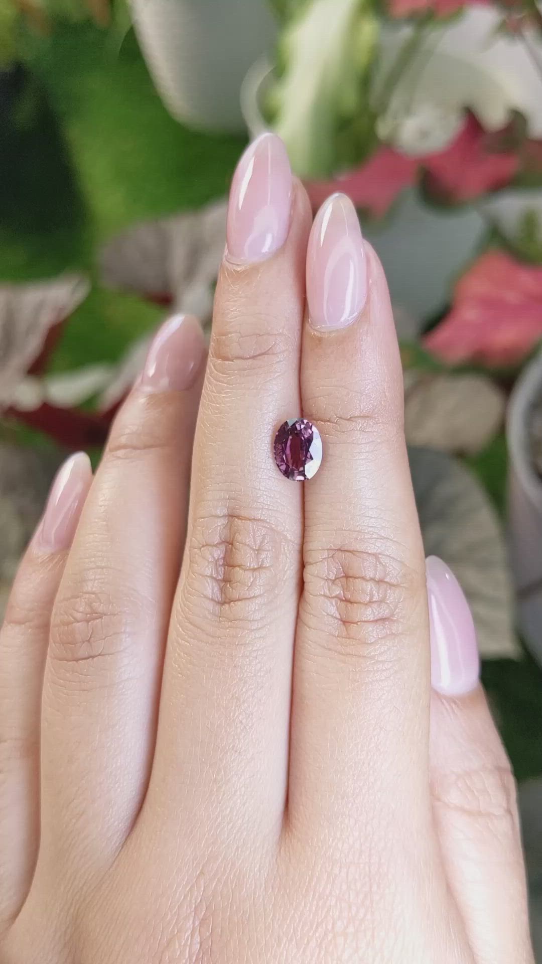 1.75 Ct. Pink Sapphire from Ceylon (Sri Lanka) Size Video