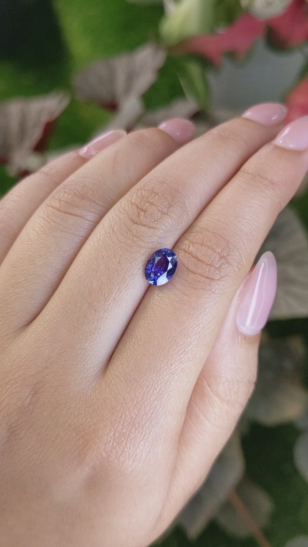 1.85 Ct. Blue Sapphire from Ceylon (Sri Lanka) Size Video