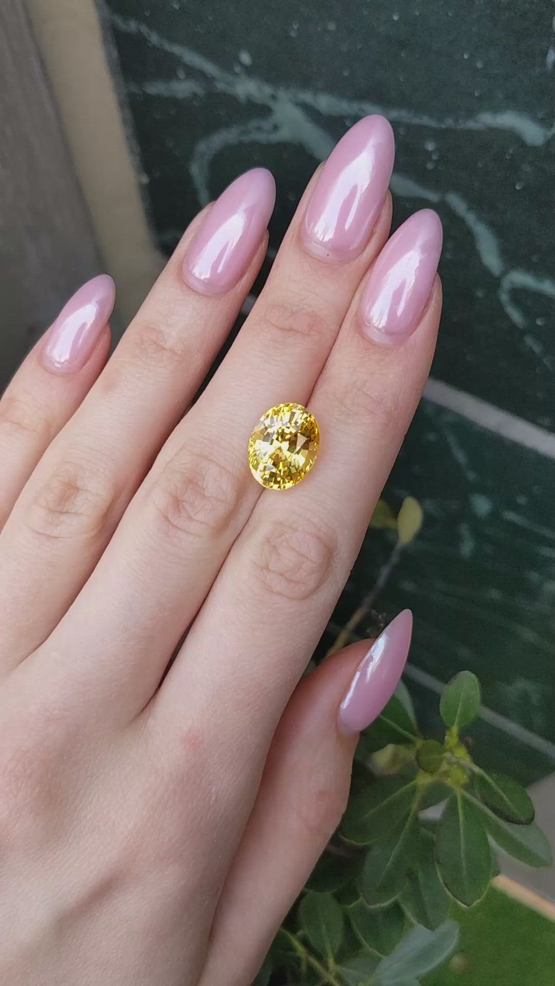 10.38 Ct. Yellow Sapphire from Ceylon (Sri Lanka) Size Video