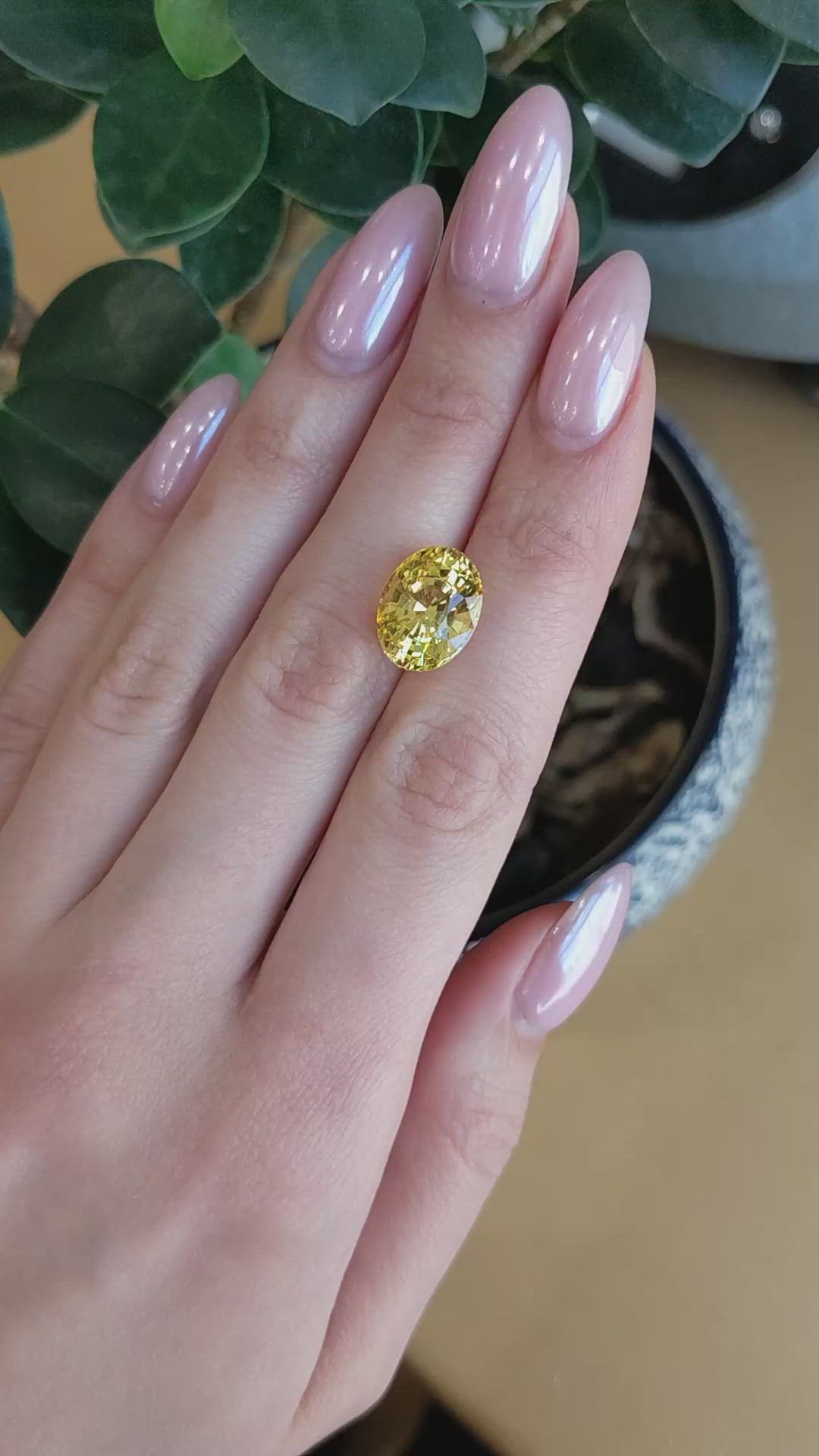 10.38 Ct. Yellow Sapphire from Ceylon (Sri Lanka) Size Video