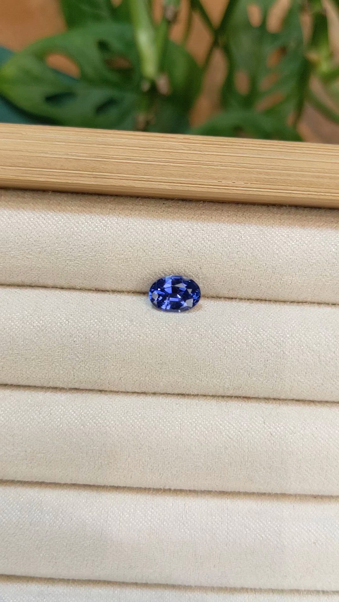 1.43 Ct. Blue Sapphire from Ceylon (Sri Lanka) Size Video