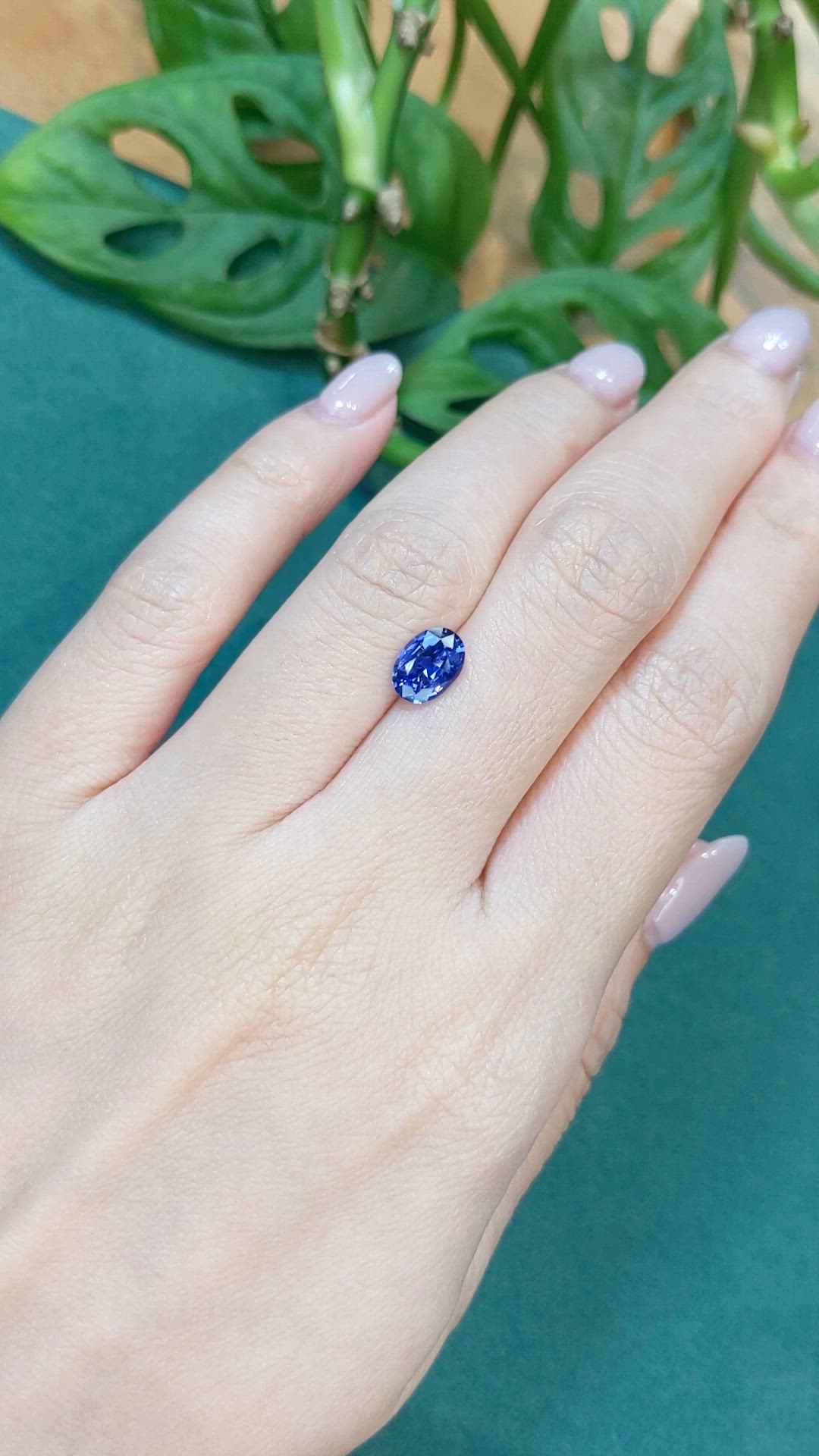 1.43 Ct. Blue Sapphire from Ceylon (Sri Lanka) Size Video