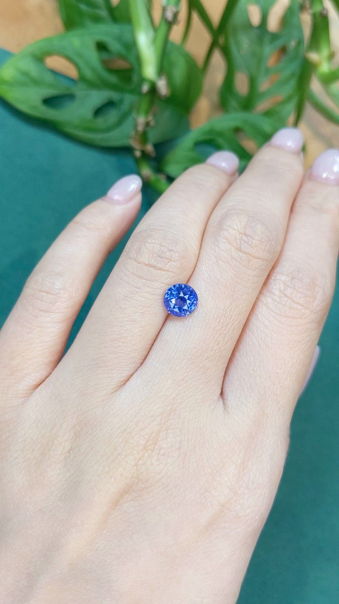 1.90 Ct. Blue Sapphire from Ceylon (Sri Lanka) Size Video