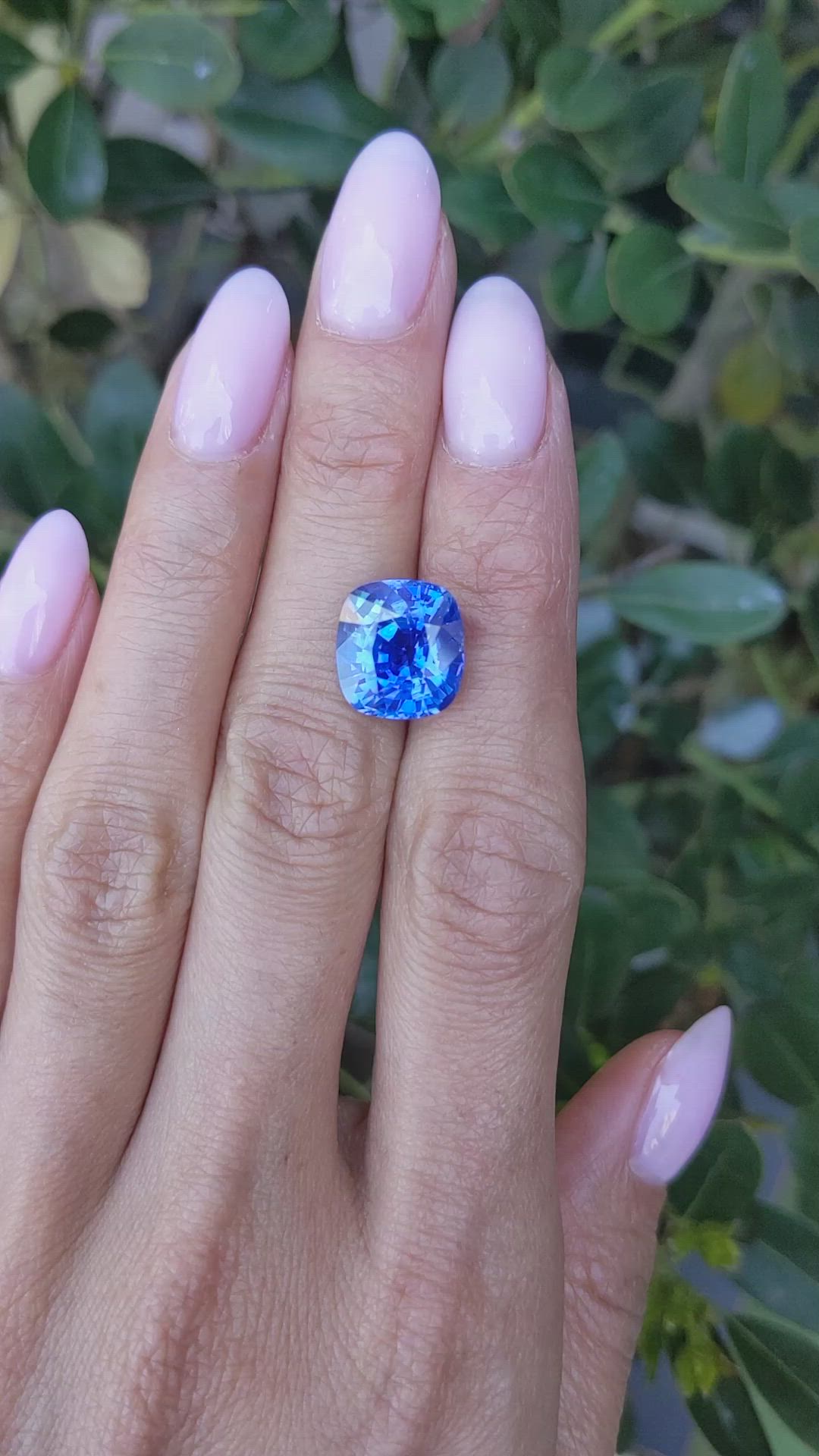 8.36 Ct. Blue Sapphire from Ceylon (Sri Lanka) Size Video