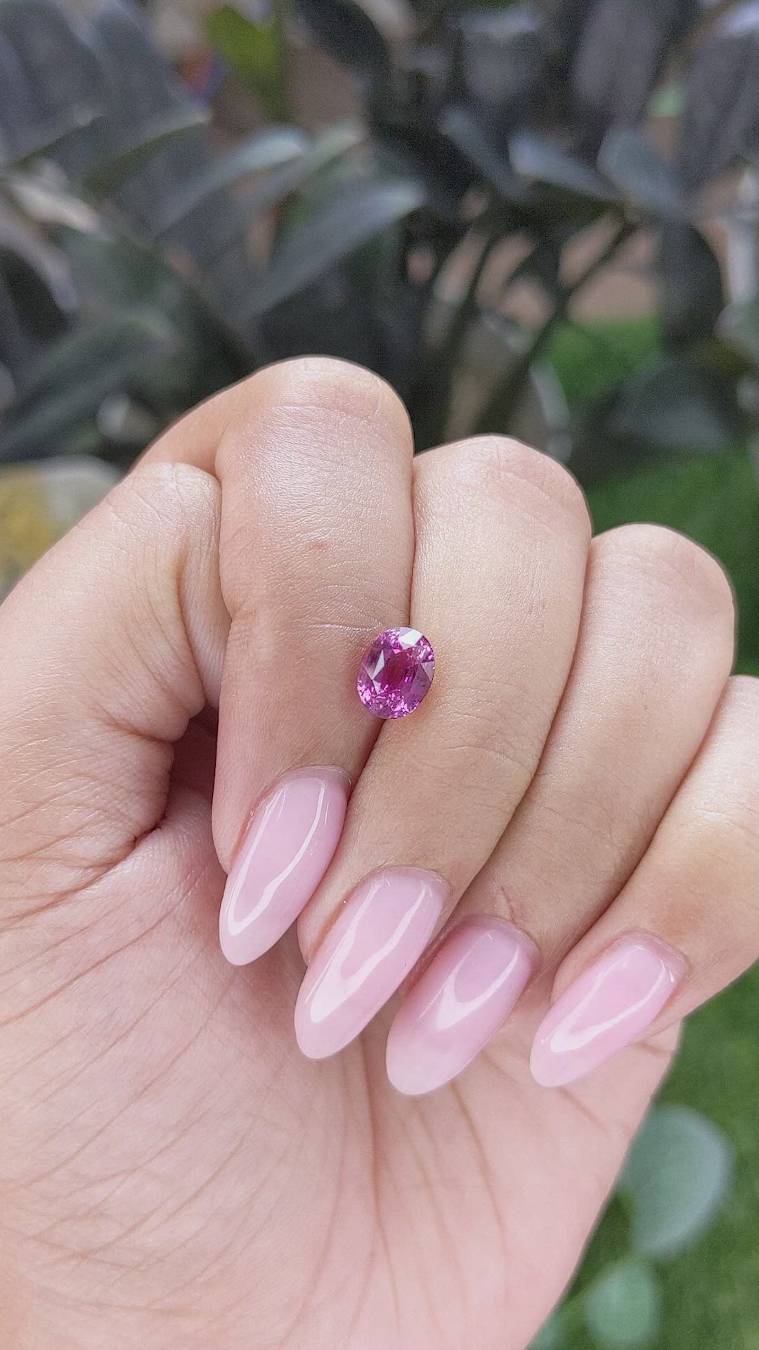 1.61 Ct. Purplish Pink Sapphire from Madagascar Size Video