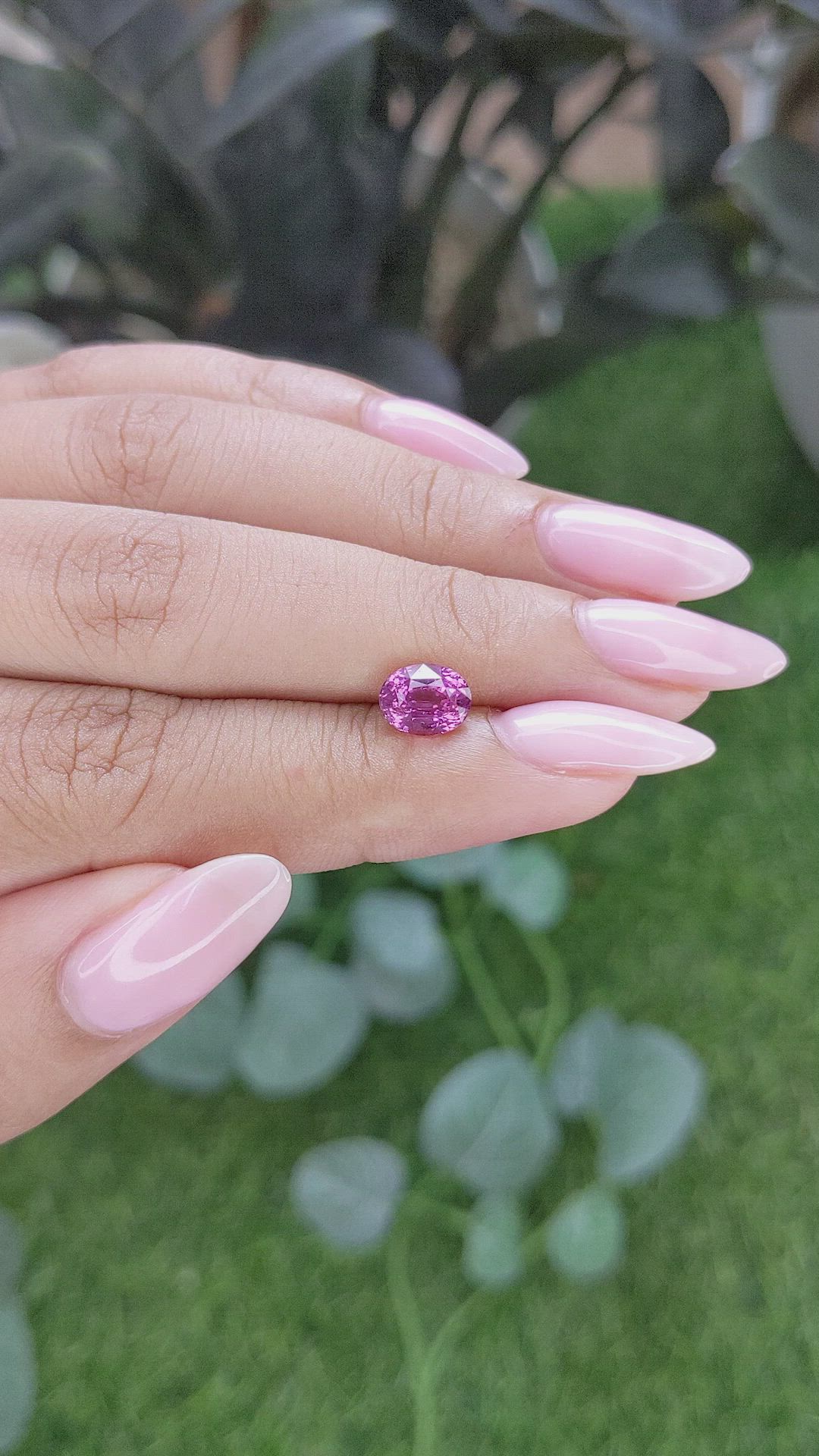 1.61 Ct. Purplish Pink Sapphire from Madagascar Size Video