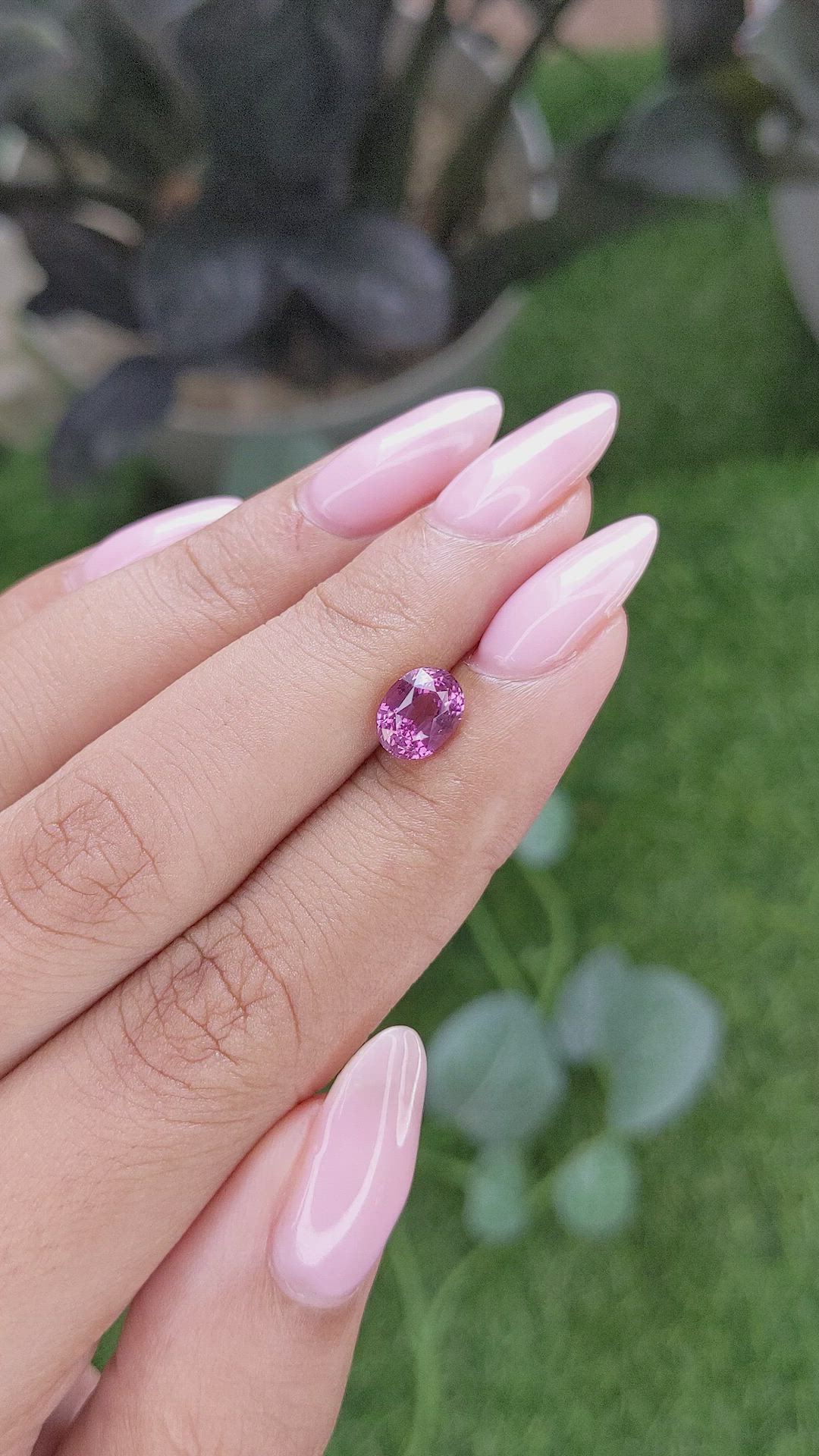1.61 Ct. Purplish Pink Sapphire from Madagascar Size Video