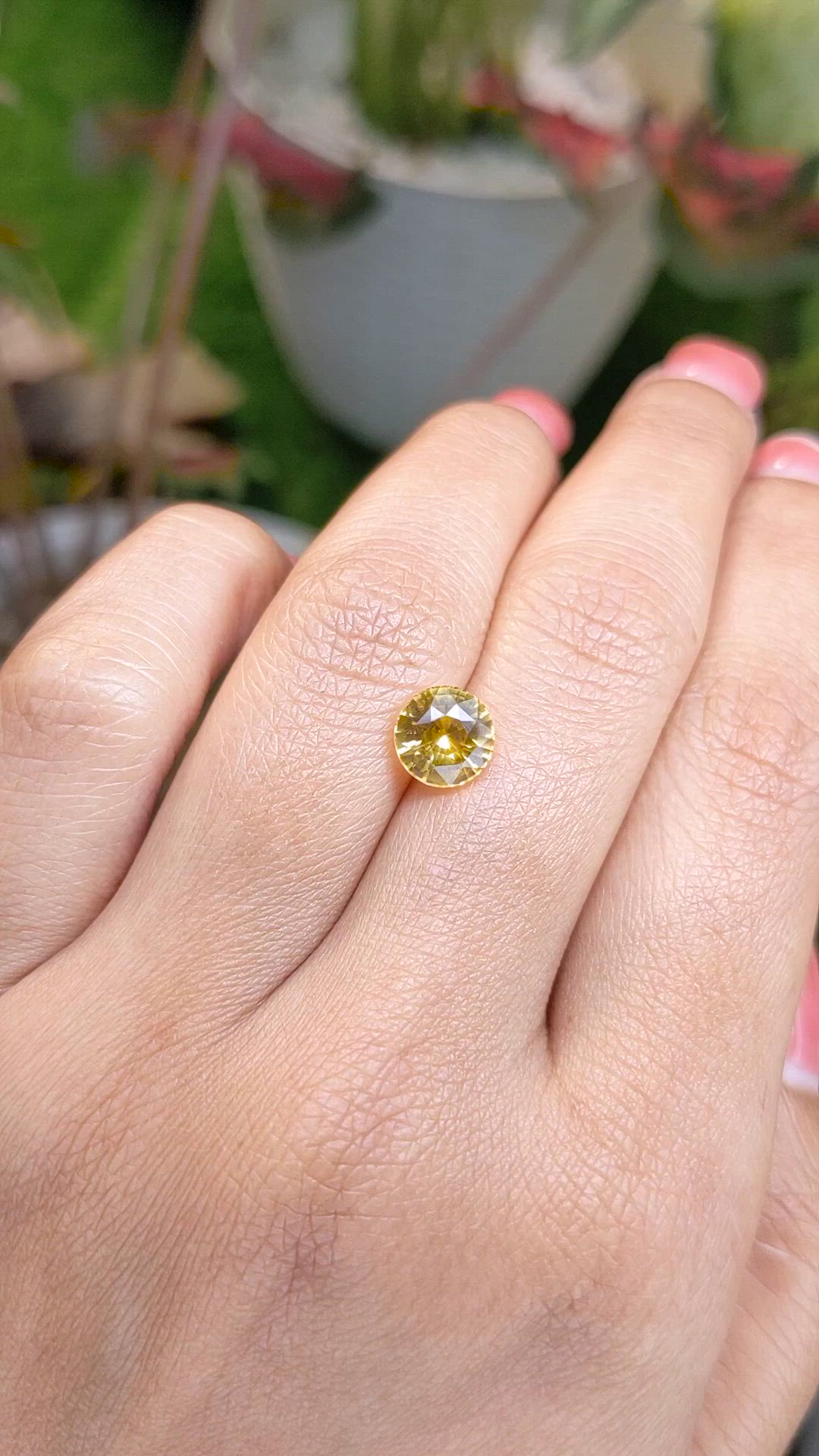 2.12 Ct. Yellow Sapphire from Ceylon (Sri Lanka) Size Video