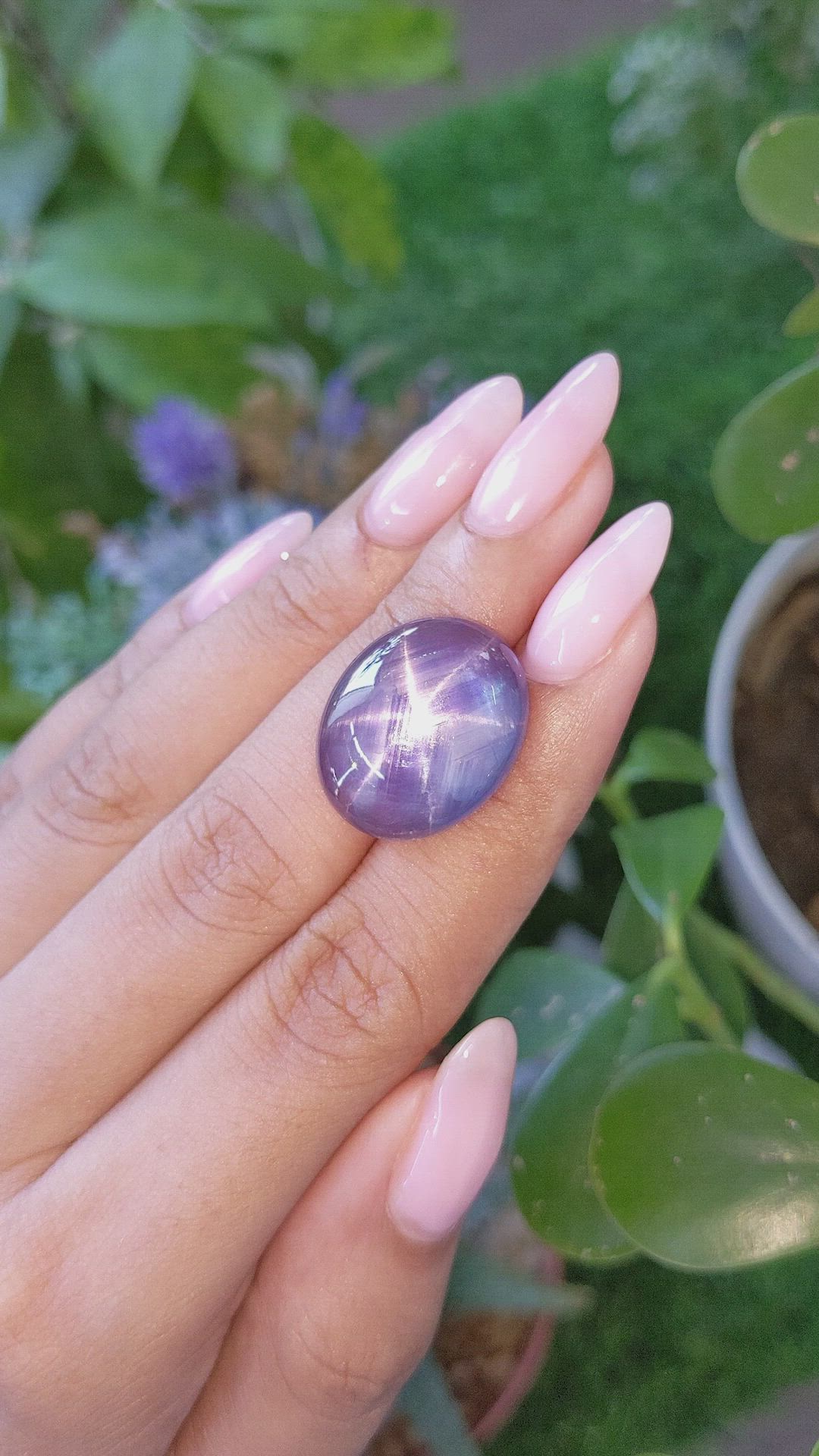 25.21 Ct. Violet Star Sapphire from Ceylon (Sri Lanka) Size Video