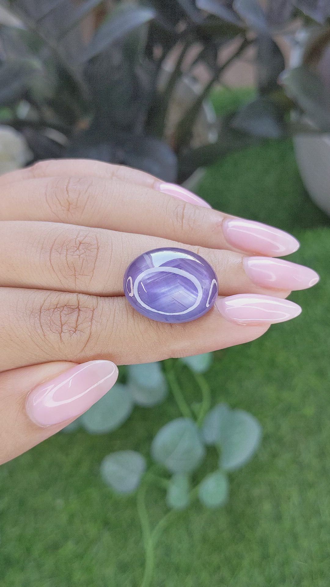 25.21 Ct. Violet Star Sapphire from Ceylon (Sri Lanka) Size Video