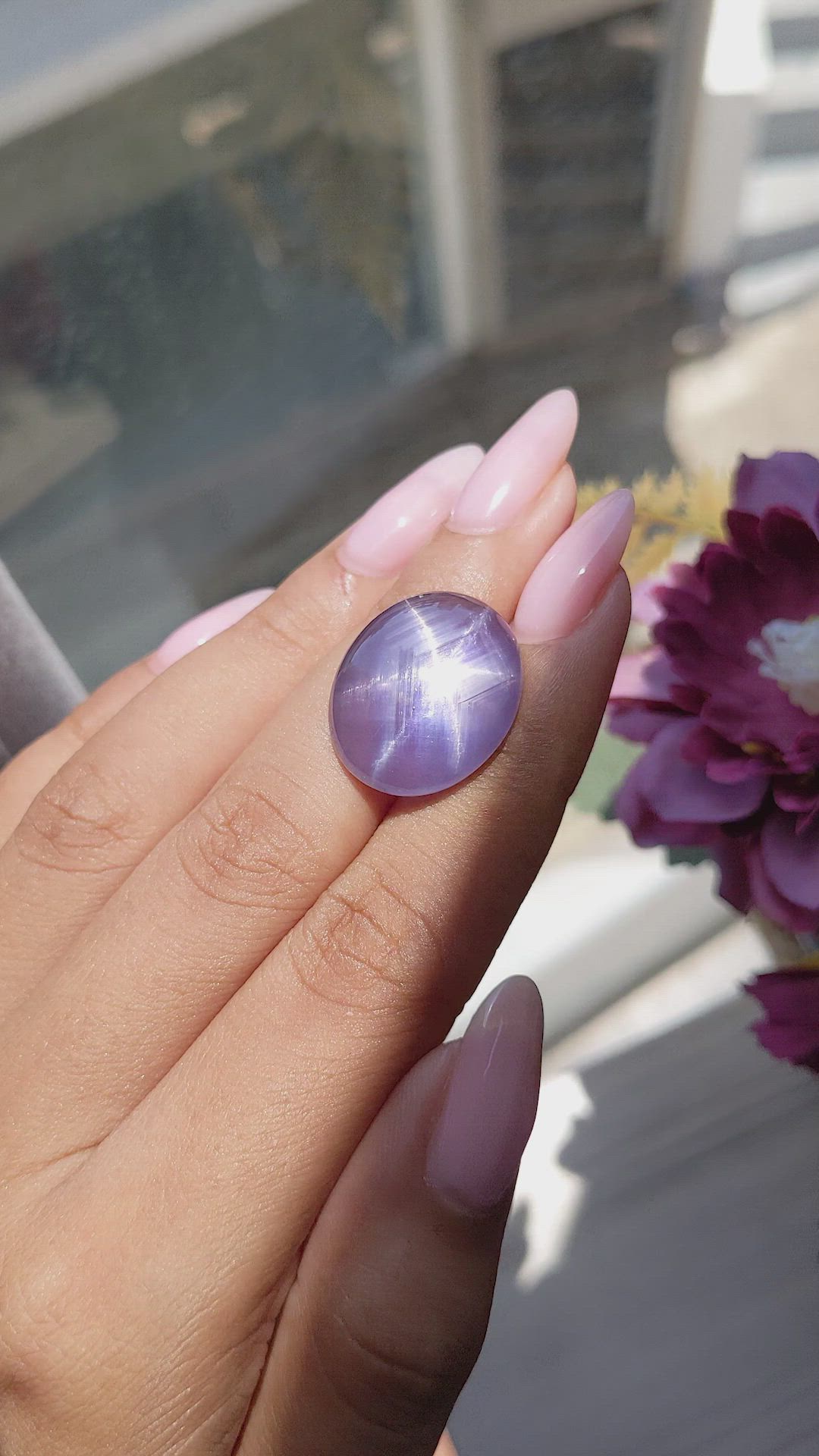 25.21 Ct. Violet Star Sapphire from Ceylon (Sri Lanka) Size Video