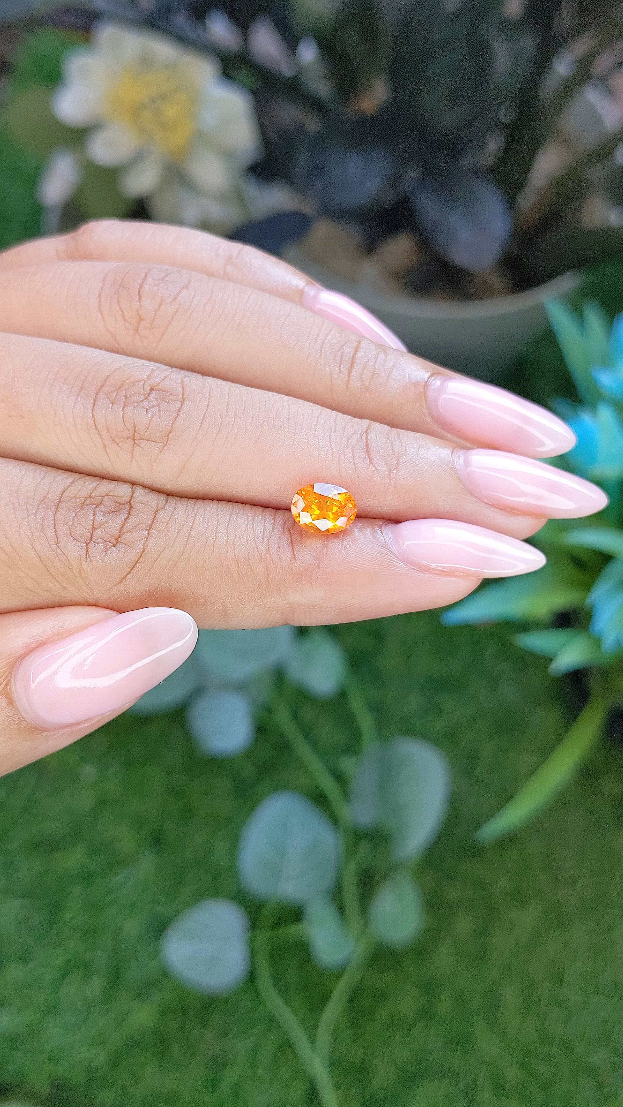 1.79 Ct. Yellow Sapphire from Ceylon (Sri Lanka) Size Video