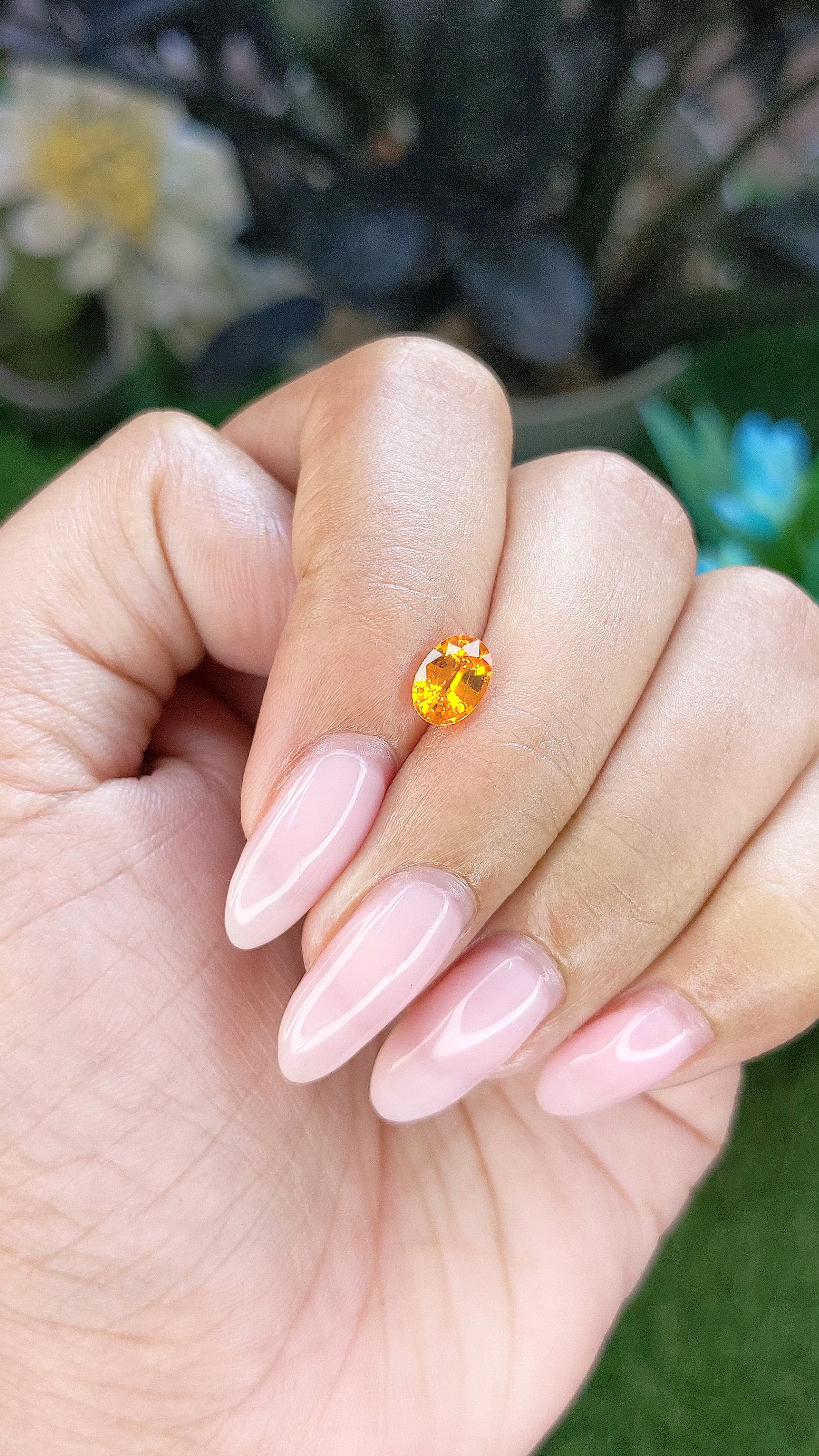 1.02 Ct. Orangish Yellow Sapphire from Ceylon (Sri Lanka) Size Video