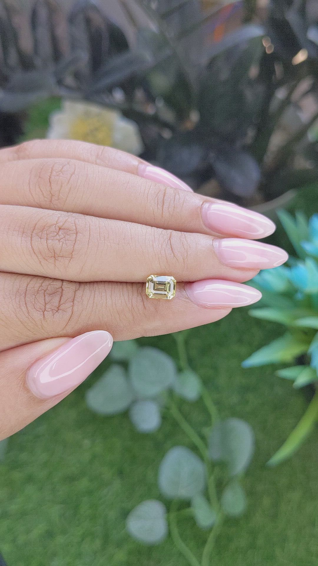 1.51 Ct. Yellow Sapphire from Ceylon (Sri Lanka) Size Video