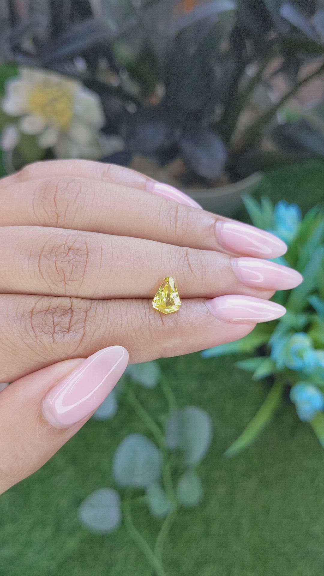 1.16 Ct. Yellow Sapphire from Ceylon (Sri Lanka) Size Video