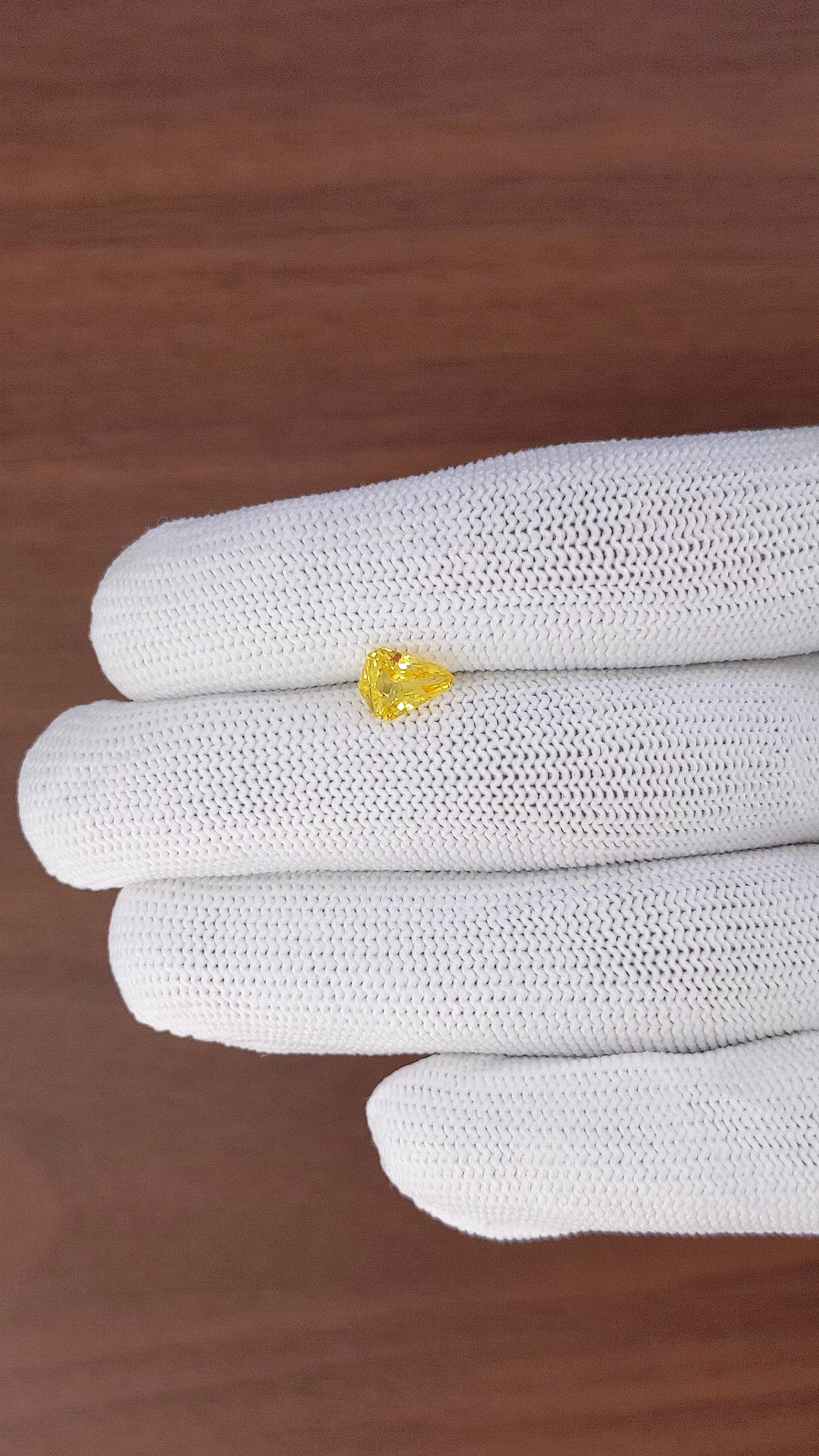 1.16 Ct. Yellow Sapphire from Ceylon (Sri Lanka) Size Video
