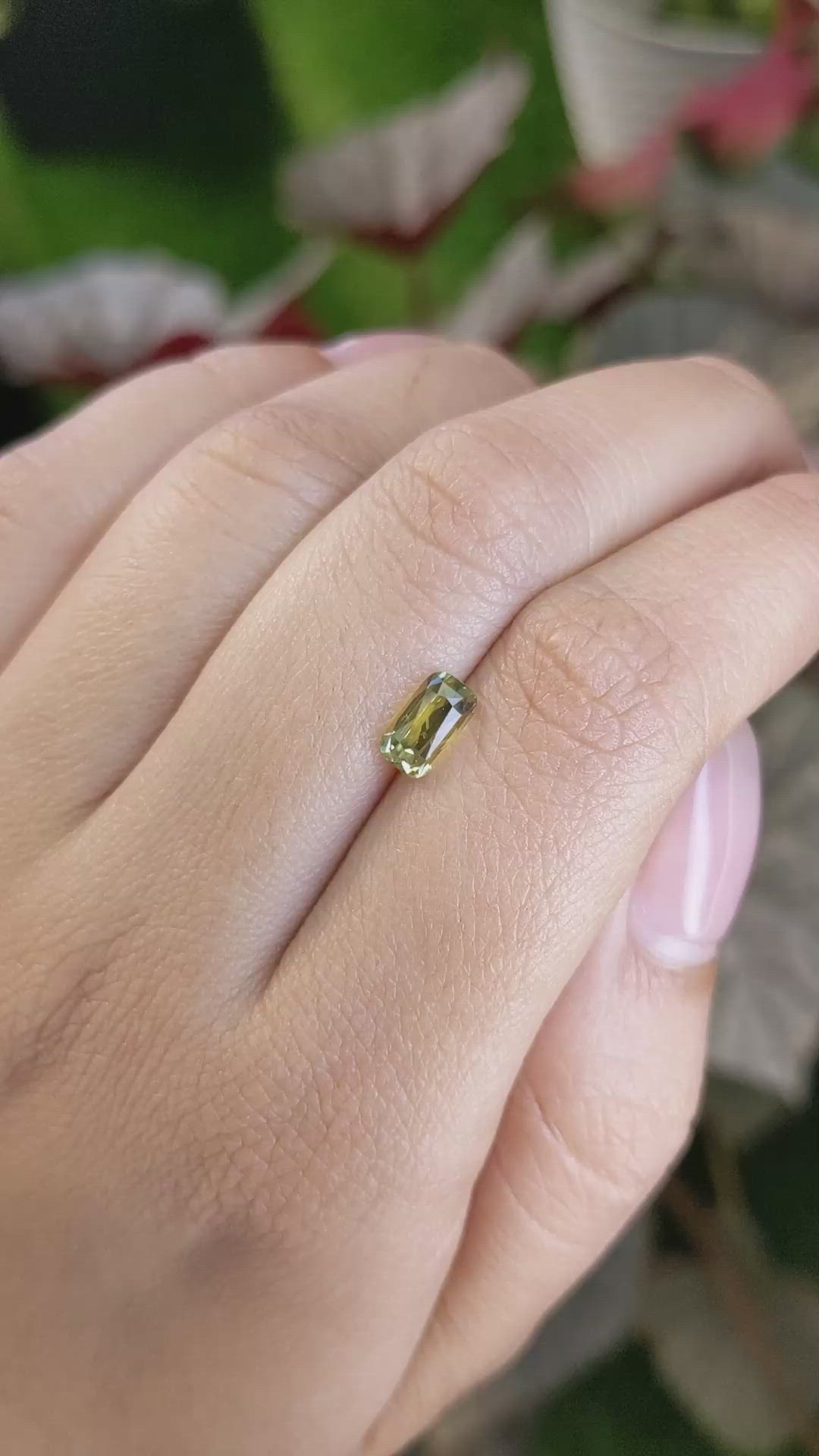 1.32 Ct. Greenish Yellow Sapphire from Ceylon (Sri Lanka) Size Video