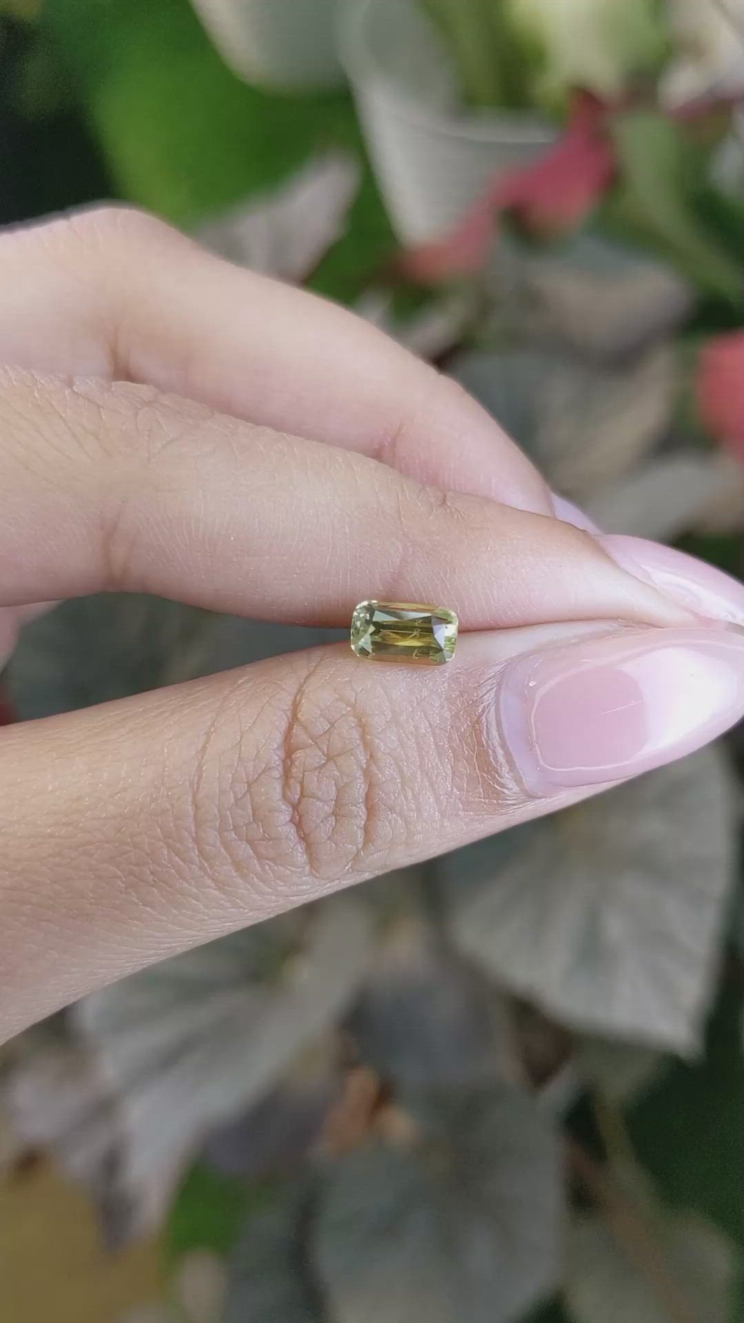 1.32 Ct. Greenish Yellow Sapphire from Ceylon (Sri Lanka) Size Video