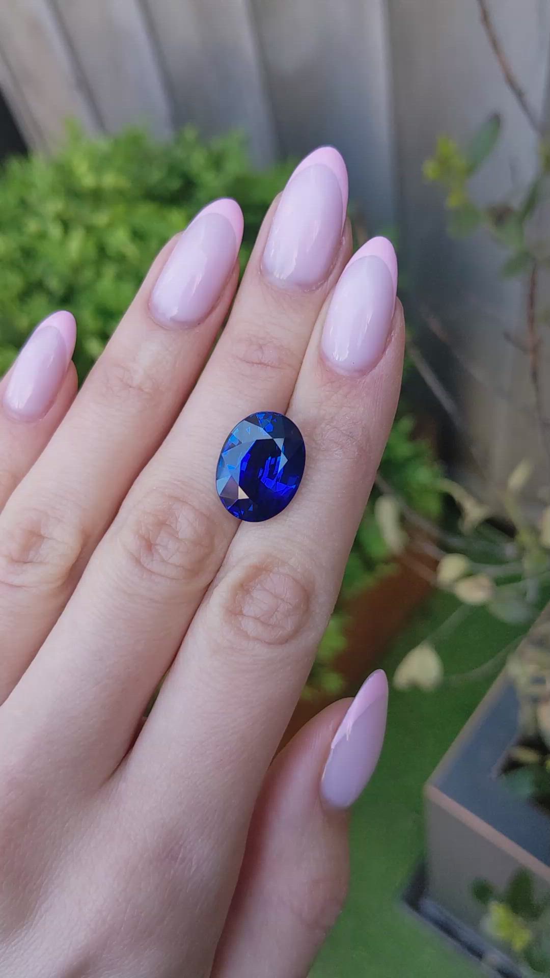14.15 Ct. Blue Sapphire from Ceylon (Sri Lanka) Size Video