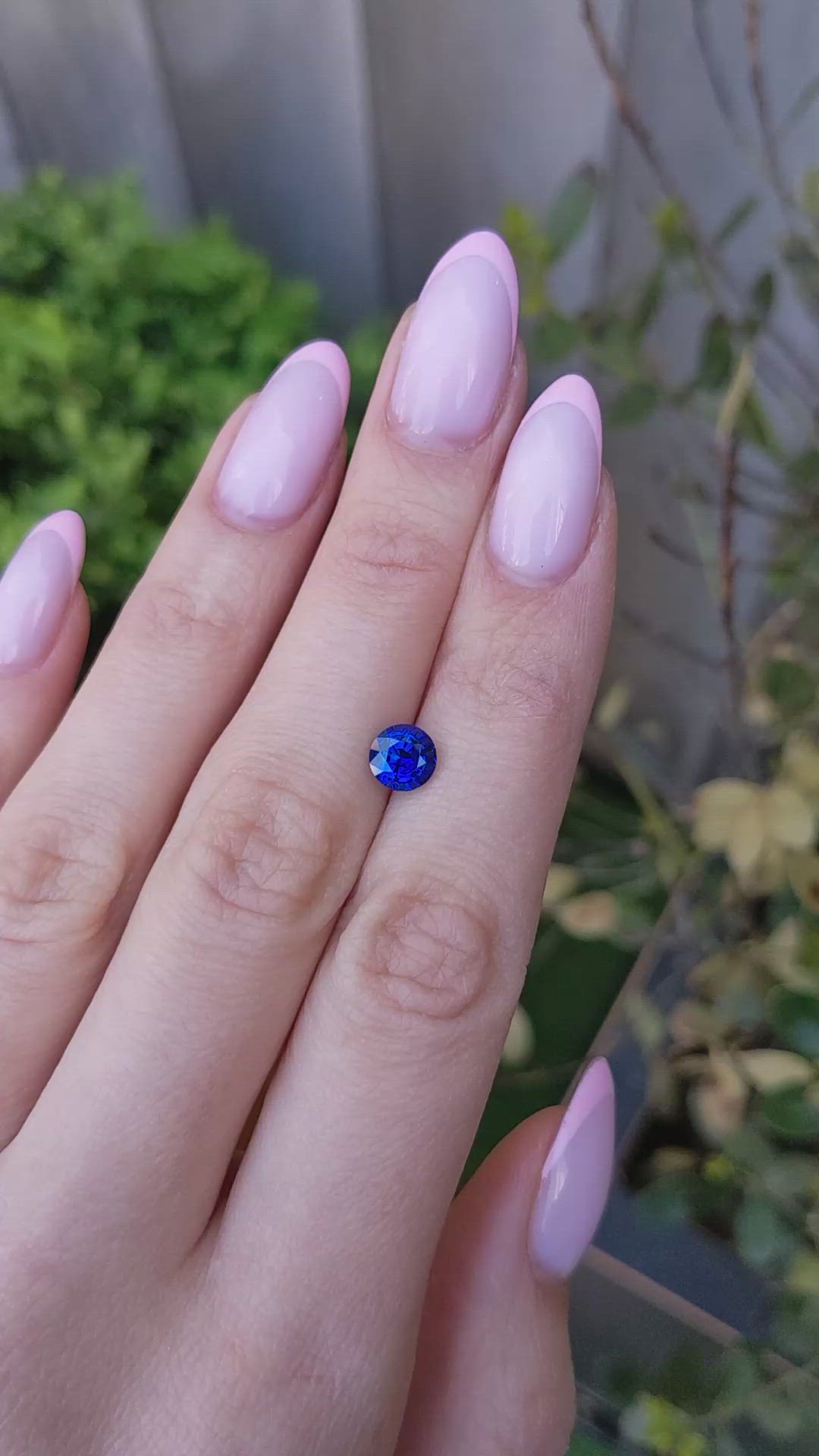 1.53 Ct. Blue Sapphire from Ceylon (Sri Lanka) Size Video