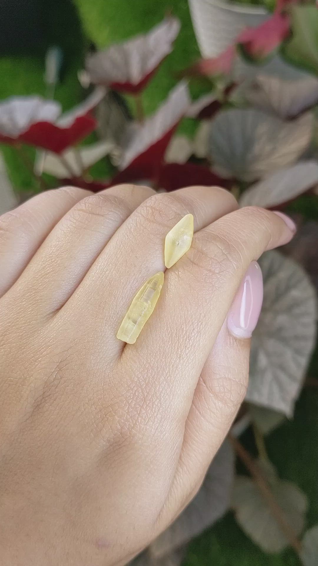 9.12 Ct. Yellow Sapphire from Ceylon (Sri Lanka) Size Video
