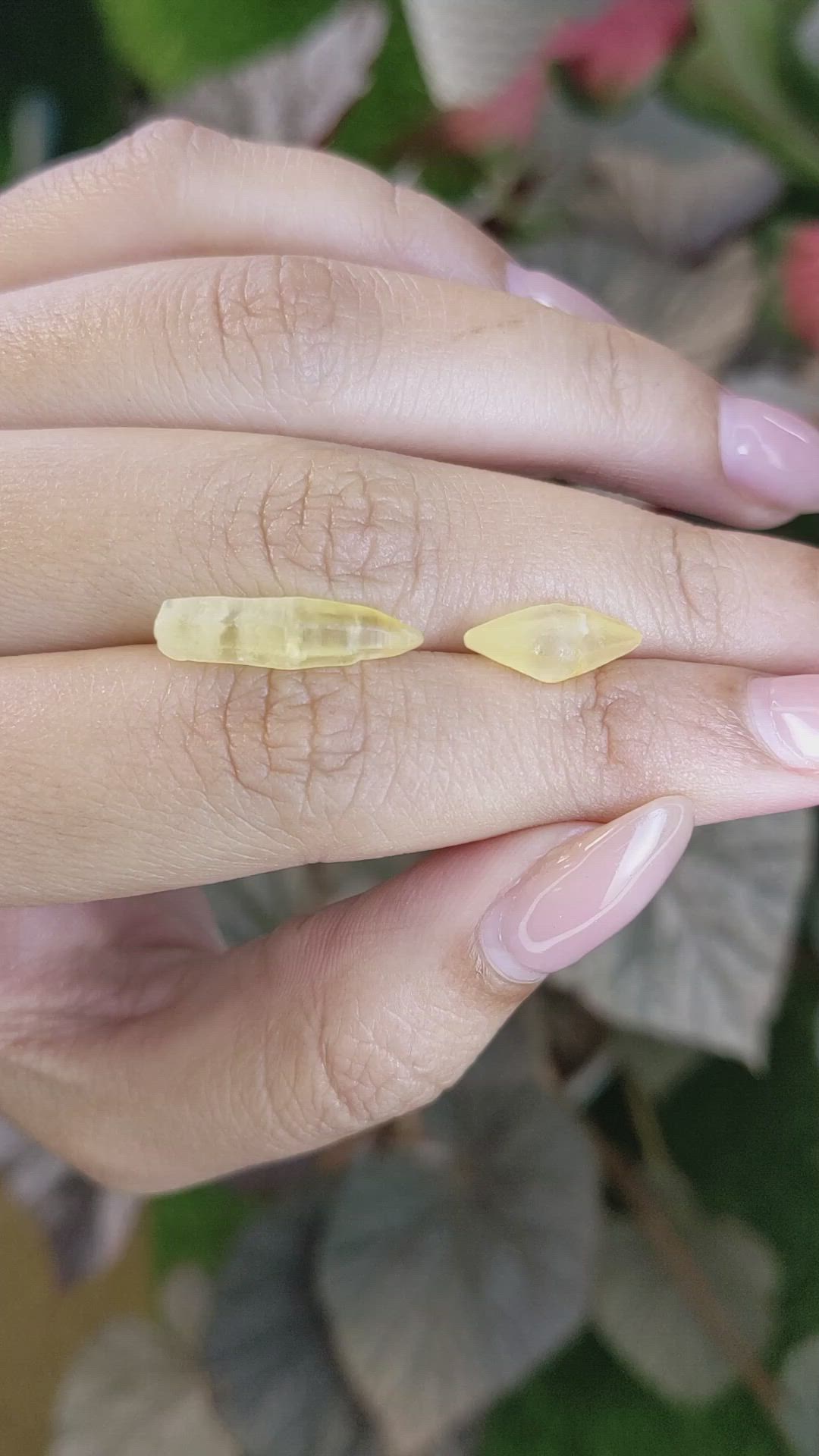 9.12 Ct. Yellow Sapphire from Ceylon (Sri Lanka) Size Video