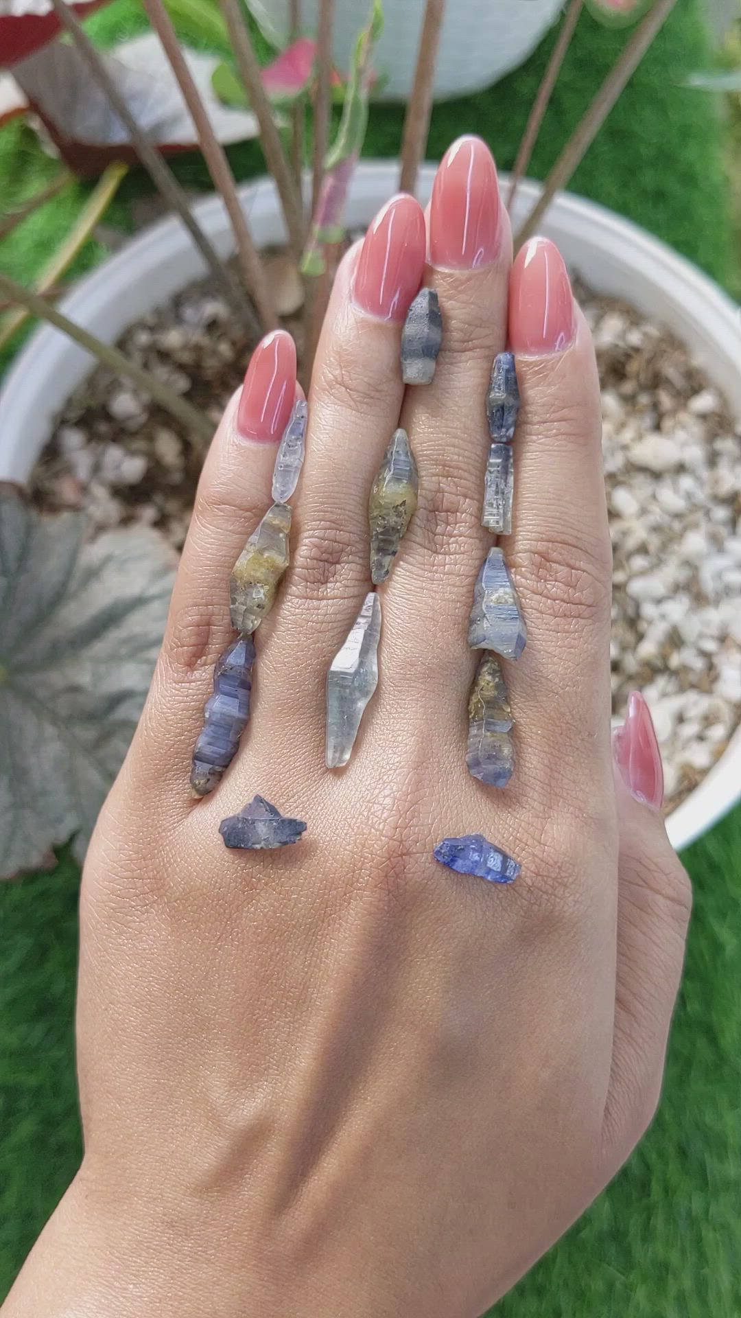 50.02 Ct. Multi Color Sapphire from Ceylon (Sri Lanka) Size Video