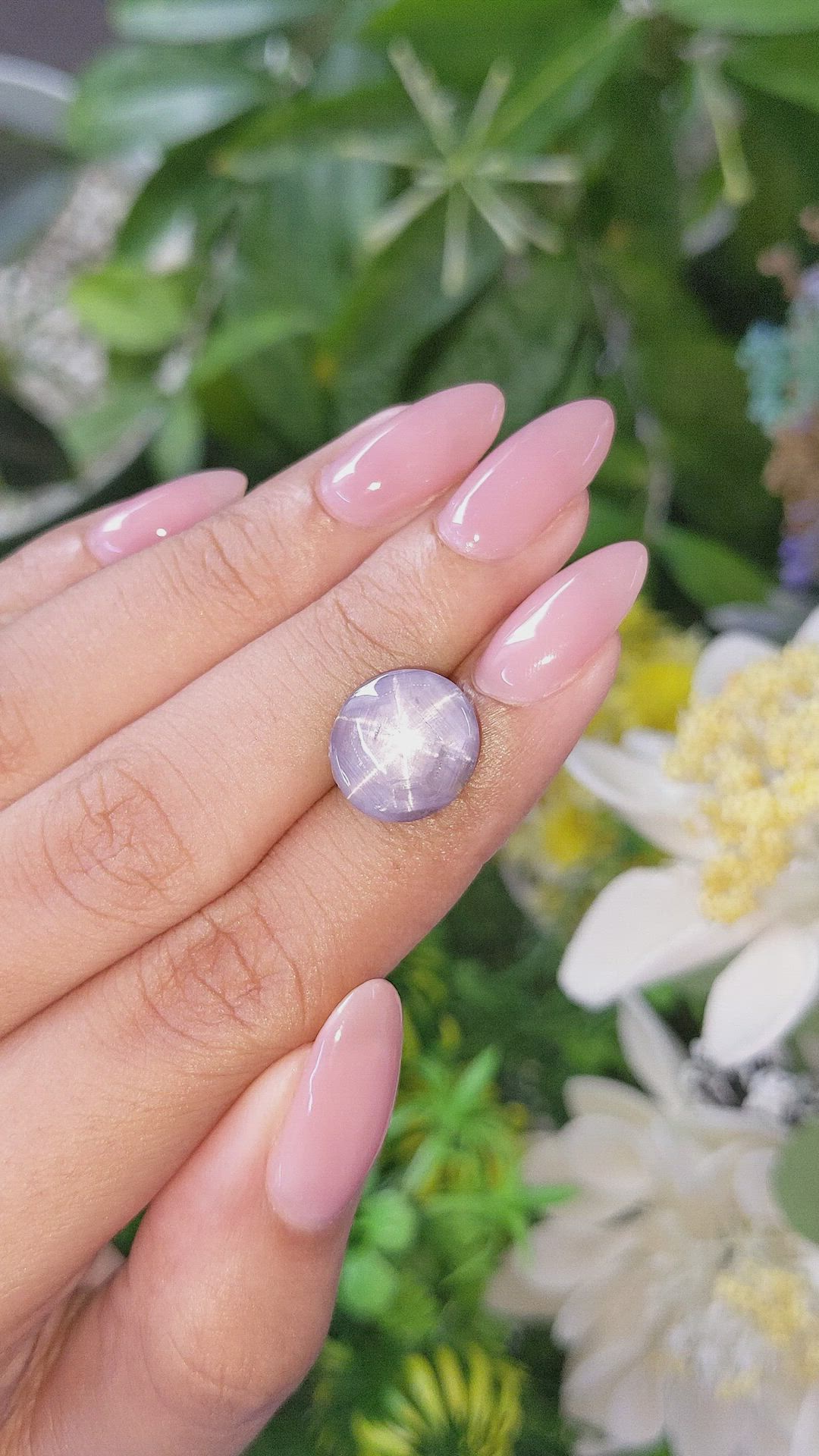 10.87 Ct. Bluish Grey Star Sapphire from Ceylon (Sri Lanka) Size Video
