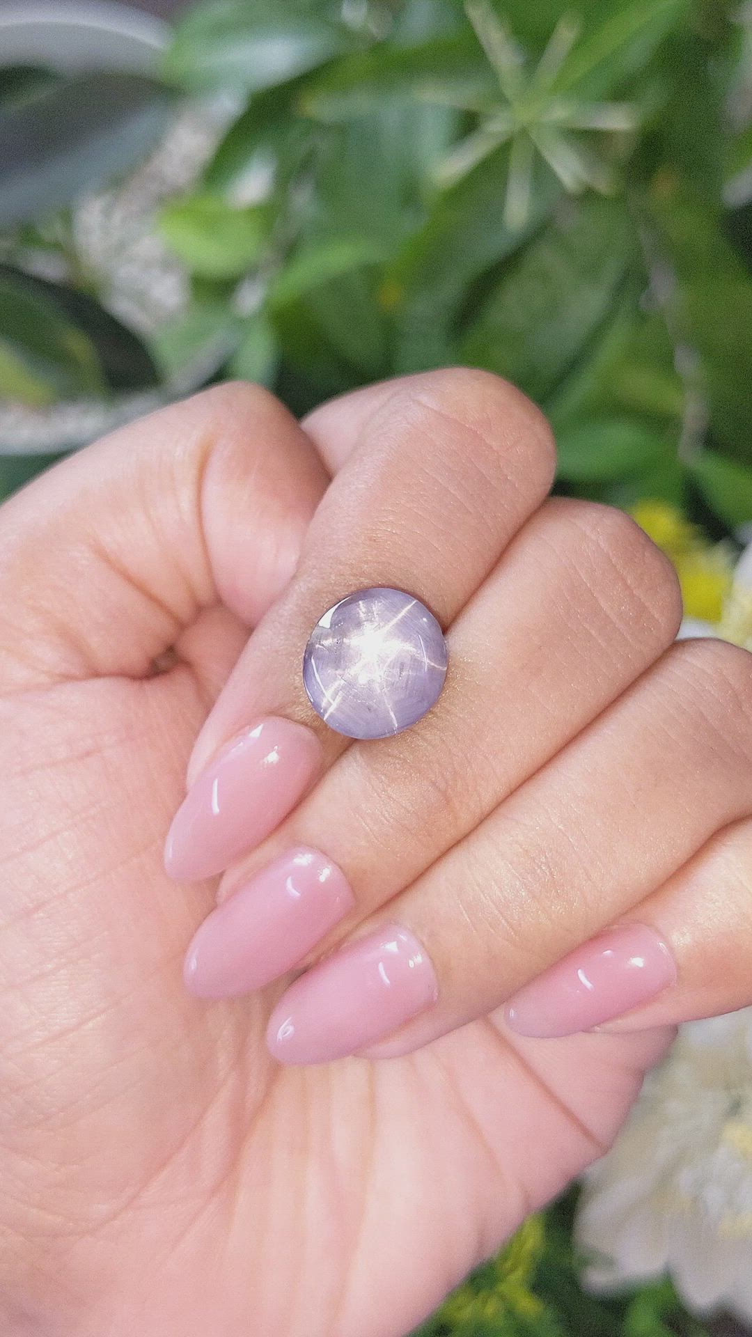 10.87 Ct. Bluish Grey Star Sapphire from Ceylon (Sri Lanka) Size Video