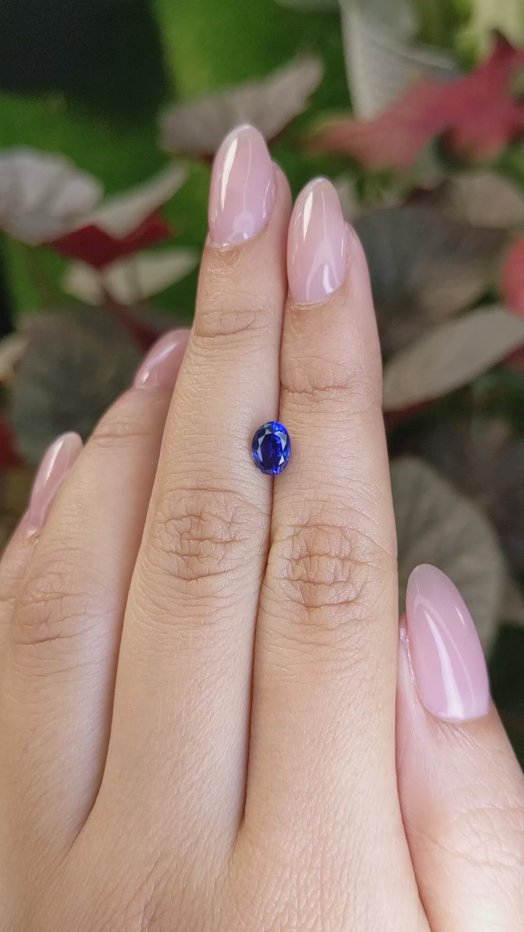 1.10 Ct. Blue Sapphire from Ceylon (Sri Lanka) Size Video