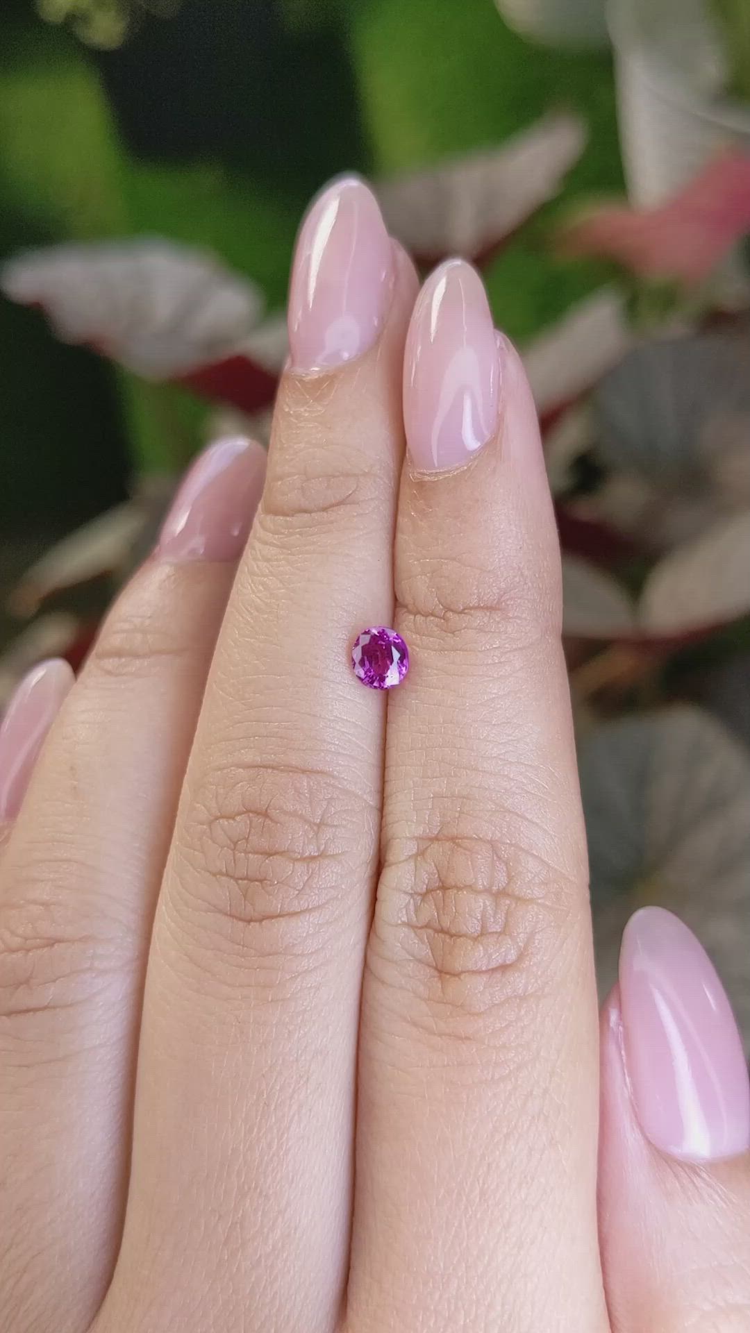 0.59 Ct. Purplish Pink Sapphire from Ceylon (Sri Lanka) Size Video